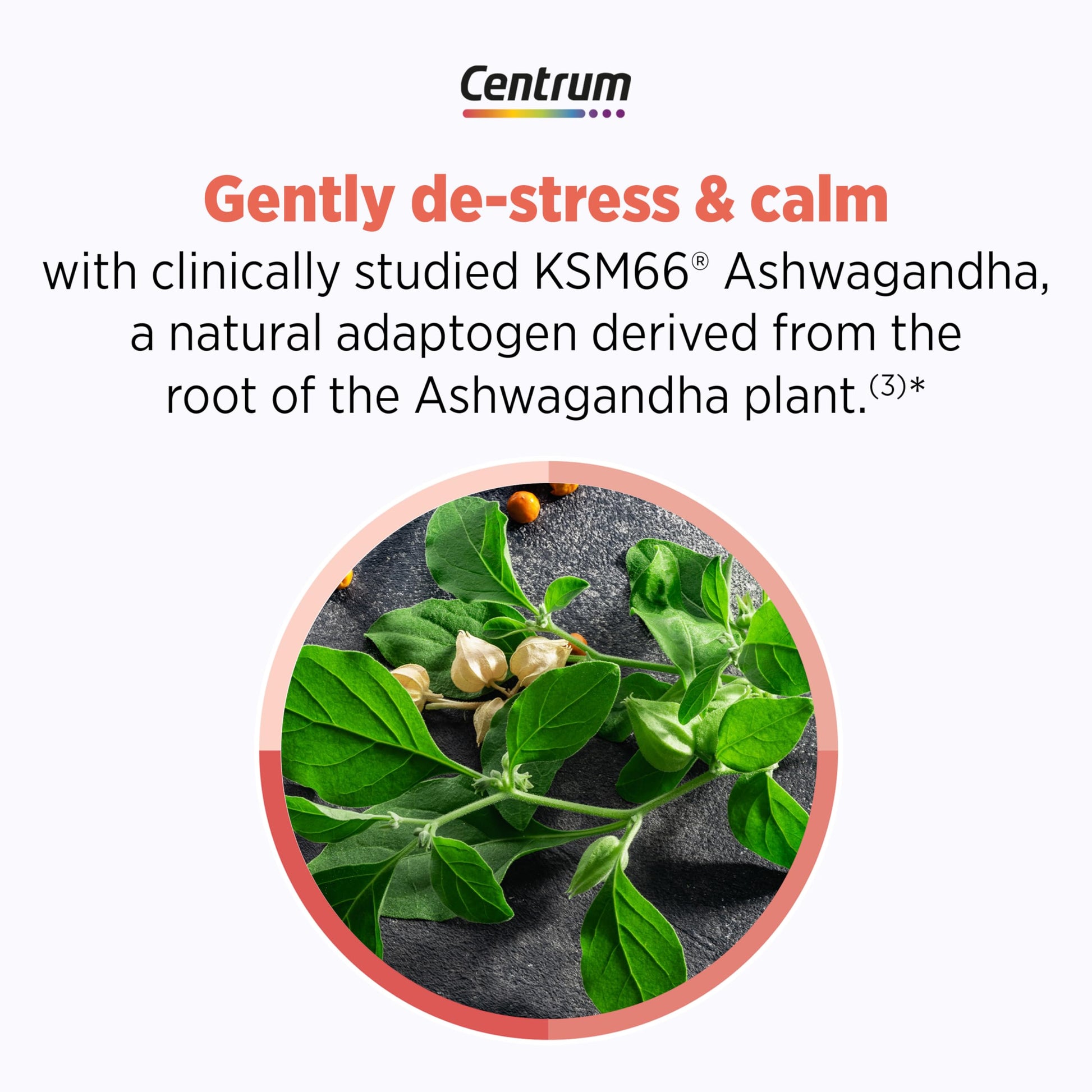 Centrum Clear Mind and Calm Mood Menopause Support Tablets, with Clinically Studied enXtra, 30 Count CentrumAu supplements