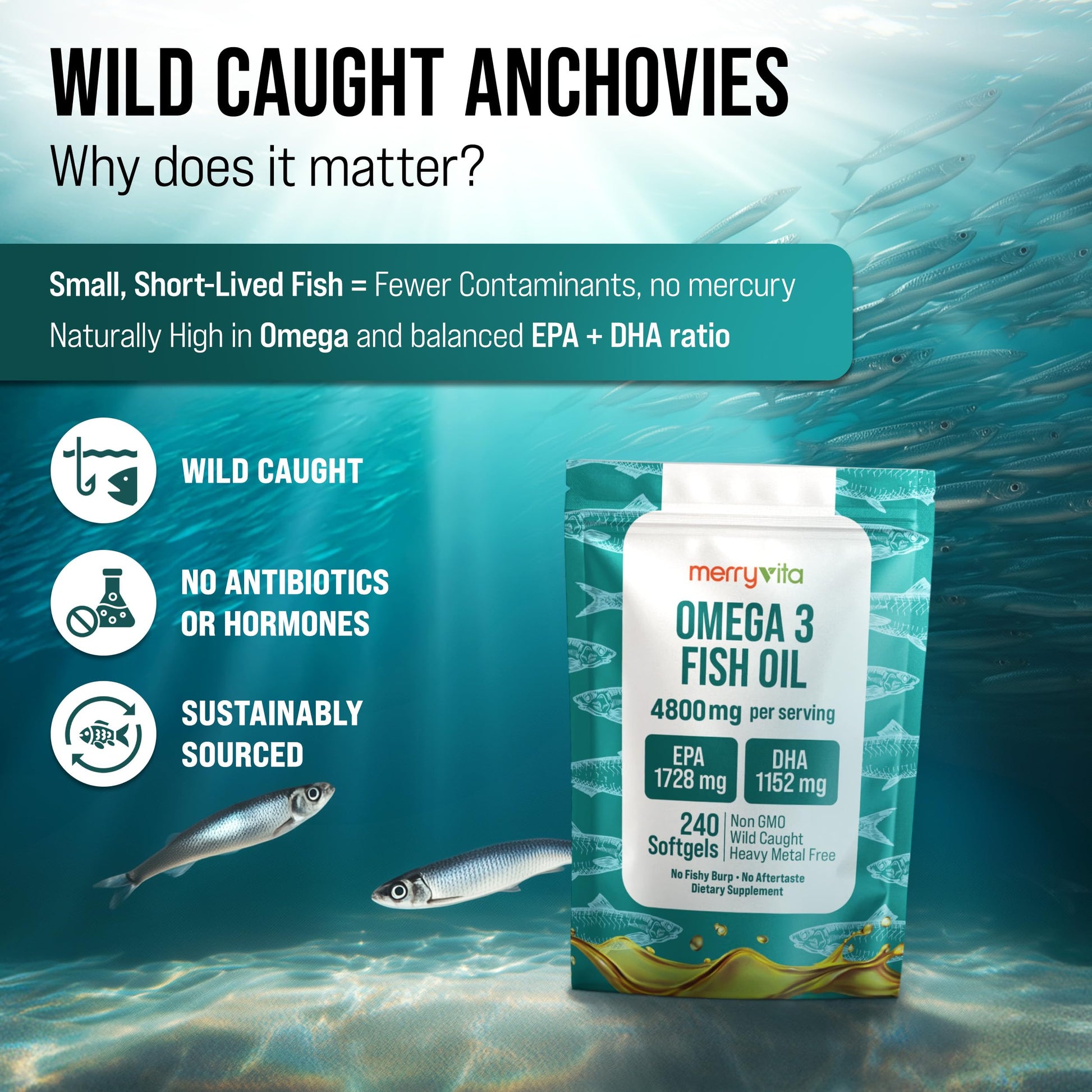 Omega 3 Fish Oil 4800 mg – EPA 1728 mg | DHA 1152 mg from Wild-Caught Anchovies – Burpless Mini Softgels – Pure Omega-3 Fatty Acid Supplement – Non-GMO, Gluten-Free, No Aftertaste – 240 Capsules MERRY VITAAu supplements