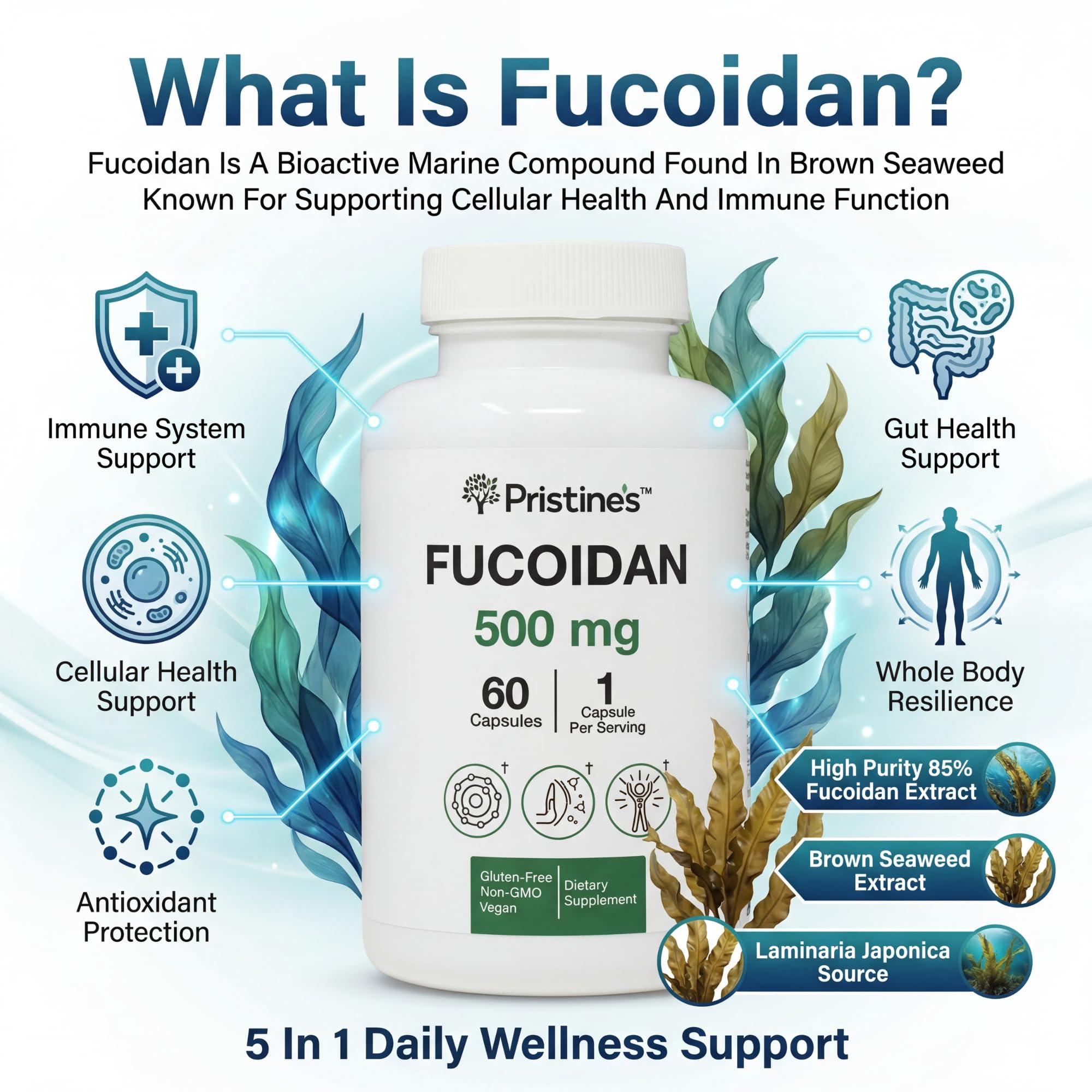 PRISTINE'S Fucoidan 500MG Immunity Supplement Capsules - 60 Day Supply - Brown Seaweed Extract - Potent Herbal Antioxidant Lung Health & Skin Health Support PRISTINE'SAu supplements