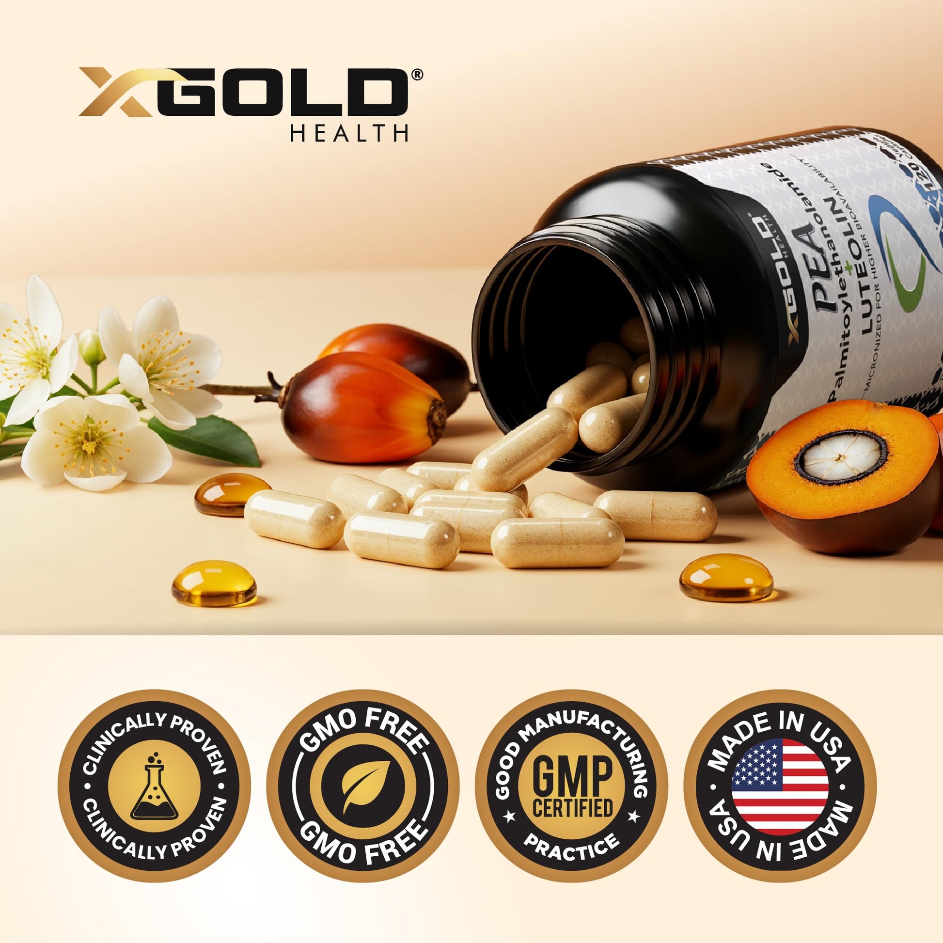 Palmitoylethanolamide 630 mg + Luteolin Standardized 98%- Micronized Pea 99% Highly Purified and Bioavailable - Made in USA - Supplement for Men and Women - 120 Veggie Capsules X Gold HealthAu supplements