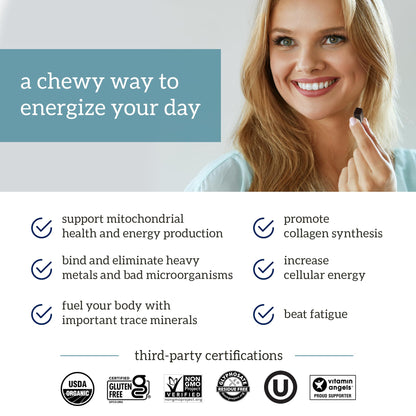 Organifi - Shilajit Gummies - Supports Natural Energy and Strength - Vanilla Cinnamon OrganifiUS supplements