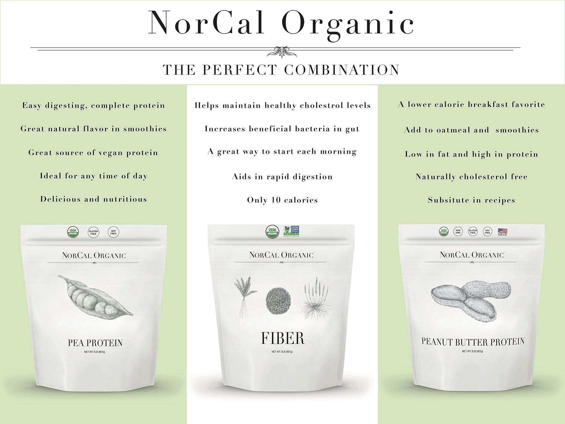 Norcal Organic Peanut Butter Protein Powder - 2lb | Vegan, Low-Cal, 11g Protein NorCal OrganicUS supplements
