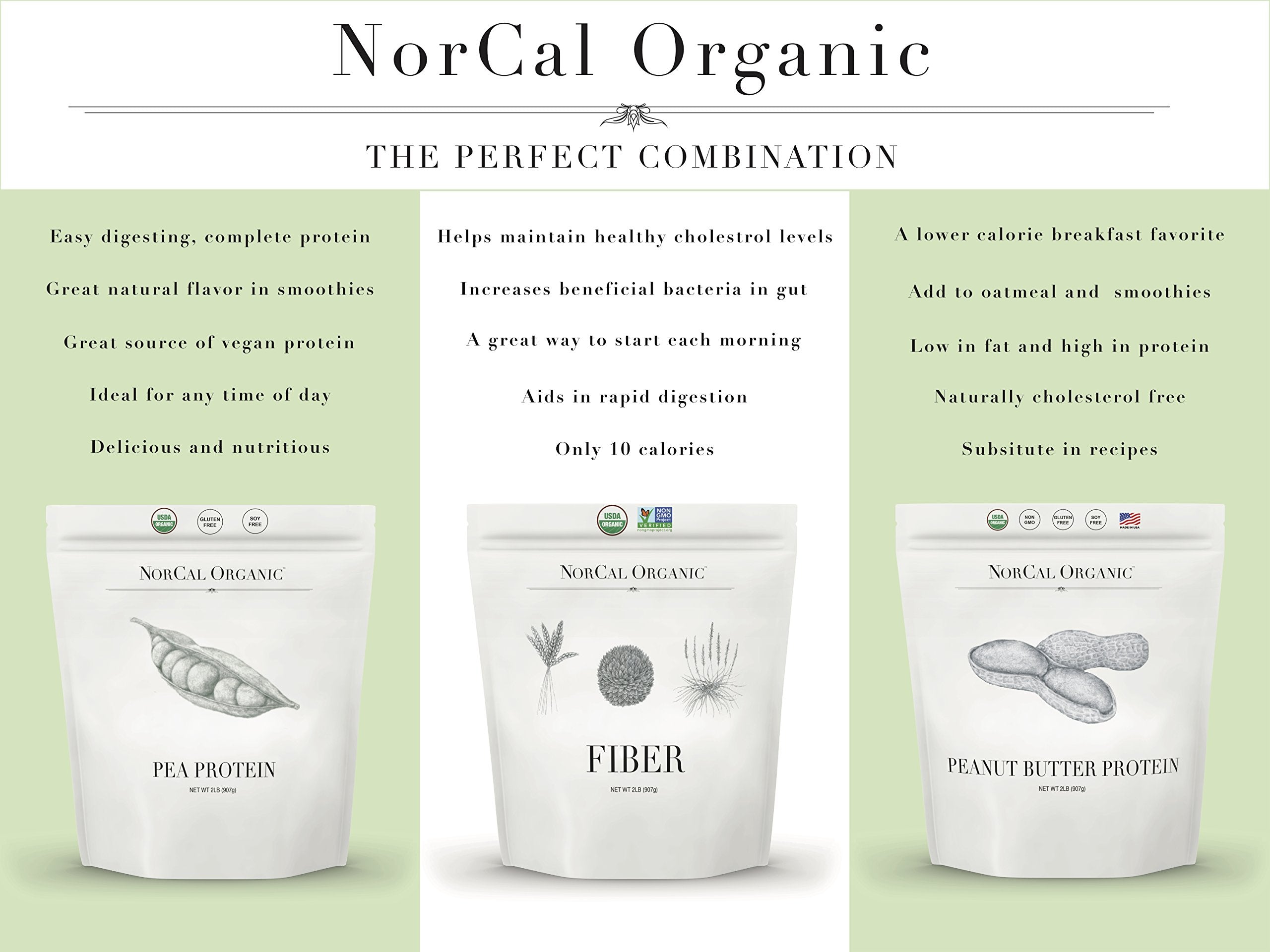 Norcal Organic Peanut Butter Protein Powder - 2lb | Vegan, Low-Cal, 11g Protein NorCal OrganicUS supplements