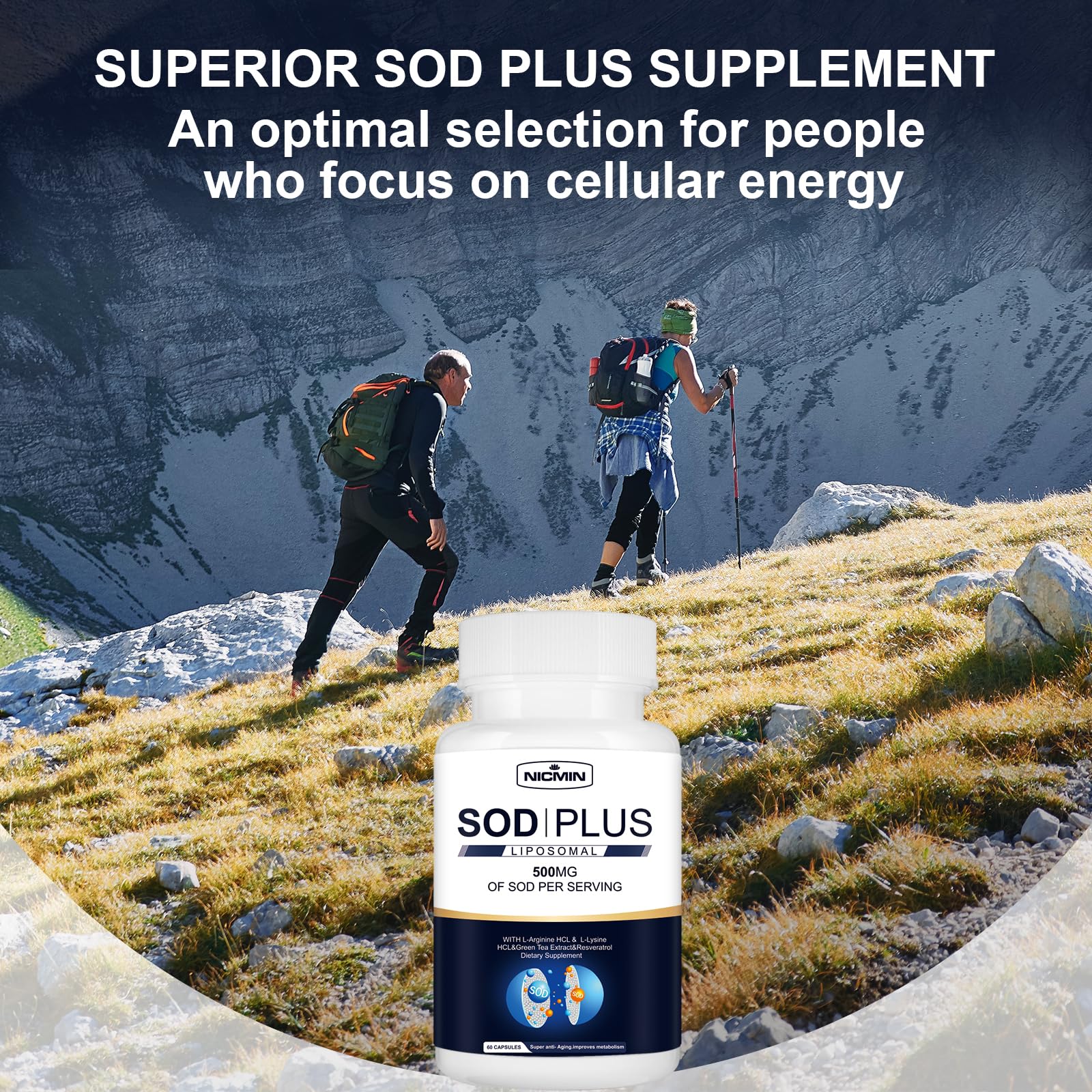 NICMIN 500MG Superoxide Dismutase Supplement - SOD Plus with Liposomal Glutathione, AKG, Green Tea Extract, L-Arginine, Lysine, Resveratrol and Vitamin E for Immune Support, Antioxidant 120 Capsules NICMINAu supplements