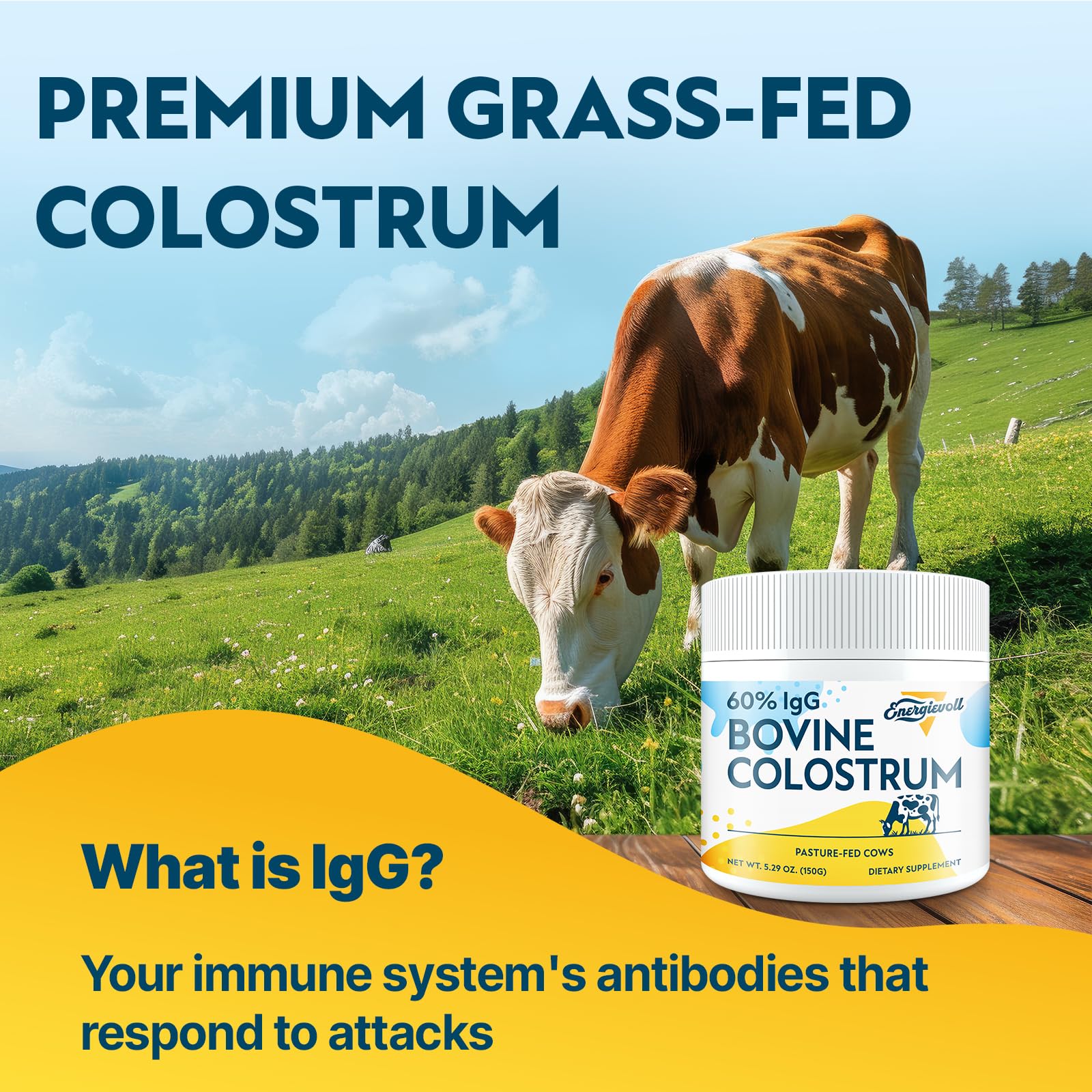 Energievoll Bovine Colostrum Supplement Powder - 60% IgG 3000 mg for Gut, Hair Growth, Beauty, and Immune, Easy to Mix, Unflavored (50 Servings) EnergievollAu supplements