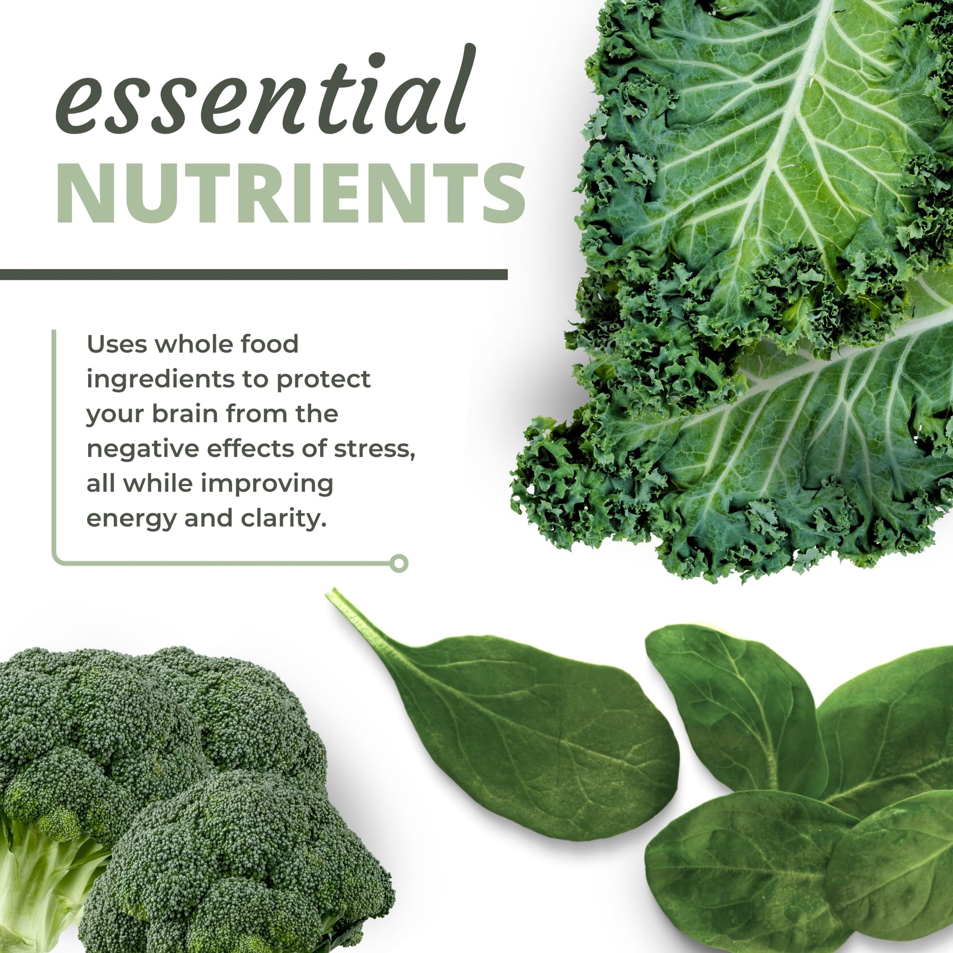 Optimal Health Systems NADH + DIM | Dr. Harris Essentials | Energy + Neurotransmitter Support | Plant-Based | Mental Clarity, Concentration, & Memory Supplement | 30 Capsules Optimal Health SystemsAu supplements
