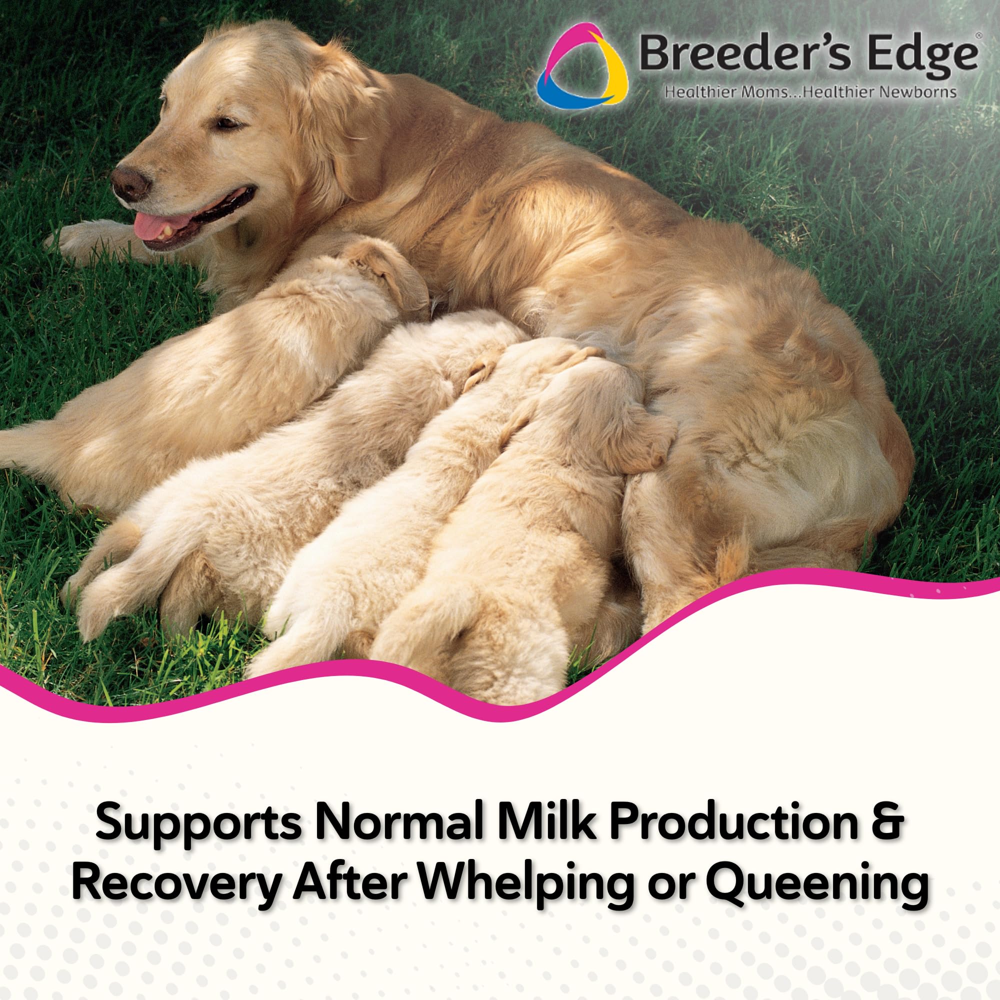 Breeder's Edge Oxy Momma Soft Chews, Postnatal Vitamin Supplement for Lactating Dogs and Cats, Supports Recovery, Hormones, and Next Pregnancy - for Small Dogs & Cats, 40ct Soft Chews Revival Animal HealthAu supplements