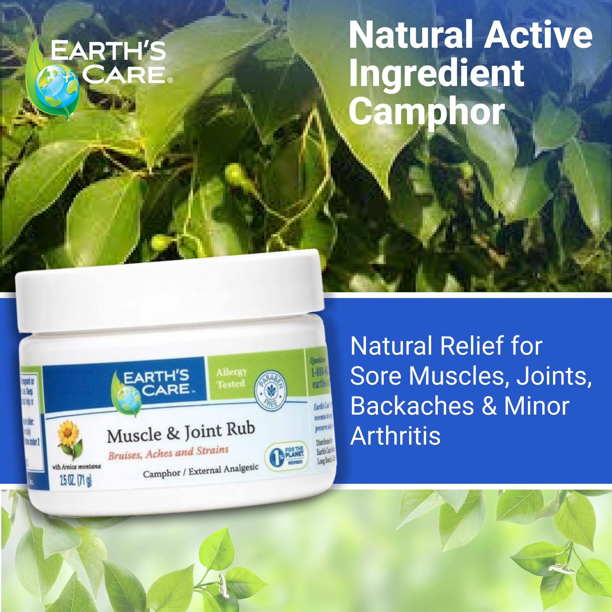 Earth's Care Muscle & Joint Rub - for Sore Muscles, Bruises, Aches and Strains - 2.5 OZ. Earth's CareAu supplements