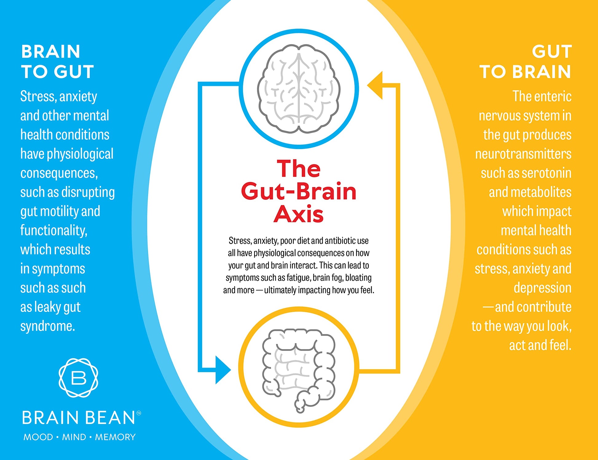 Brain Basics Ultra Pure IgG Supplement - Dairy-Free Supplement IgG-Immunolin Powder, Blended Vitamin & Mineral Supplements, 150g, 60 Servings Brain BeanAu supplements