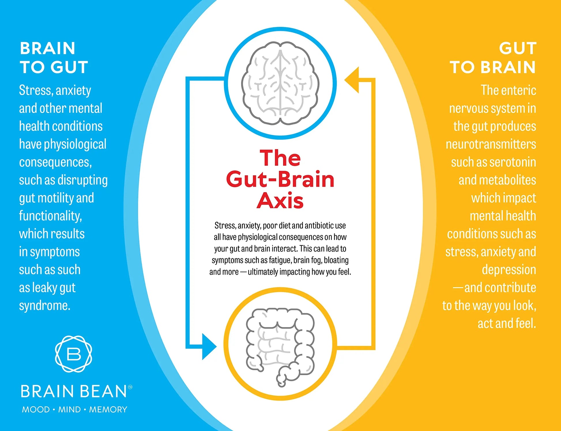 Brain Basics Ultra Pure IgG Supplement - Dairy-Free Supplement IgG-Immunolin Powder, Blended Vitamin & Mineral Supplements, 150g, 60 Servings Brain BeanAu supplements