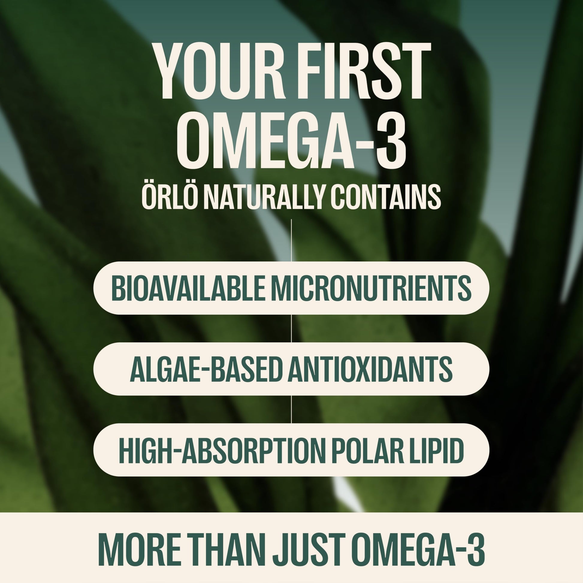 Orlo DHA Supplement 1000mg - 3X Absorption Natural Icelandic Nordic Omega 3 DHA & EPA for Brain & Eye Support – Vegan Fish Oil Alternative, No Fishy Aftertaste, 60 Easy-to-Swallow Mini Softgels OrloAu supplements