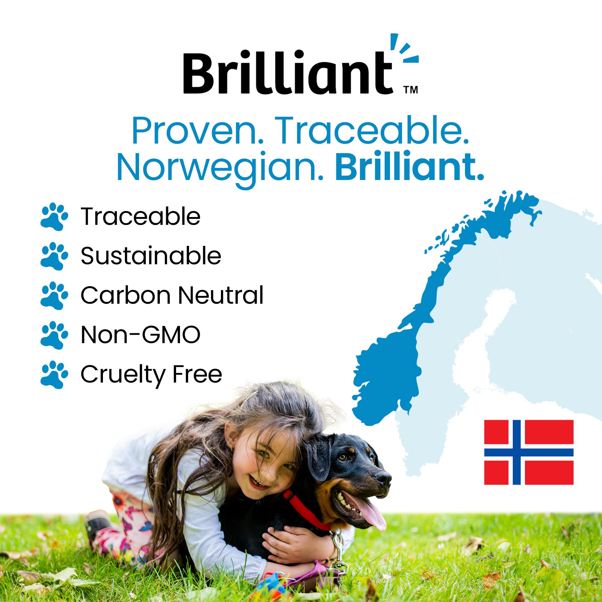 Hofseth BioCare Brilliant Bone & Joint Supplement for Dogs - High Strength Calcium & Collagen Powder for Joint & Hip Support, Essential Supplement for Dog’s of All Ages - 10.6 Oz Hofseth BioCareAu supplements