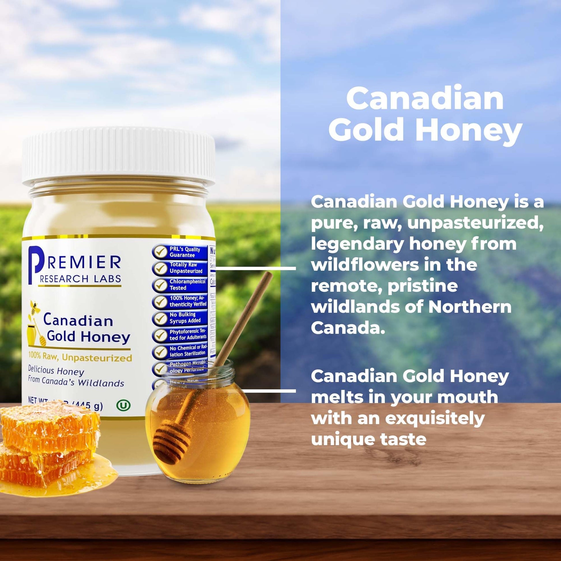 Premier Research Labs Canadian Gold Honey - Raw Honey, Pure Honey, Raw Unpasteurized Honey, Unfiltered, 100% Pure, Sugar-Free, Unprocessed Wildflower Honey - 1 lb Jar Premier Research LabsAu supplements
