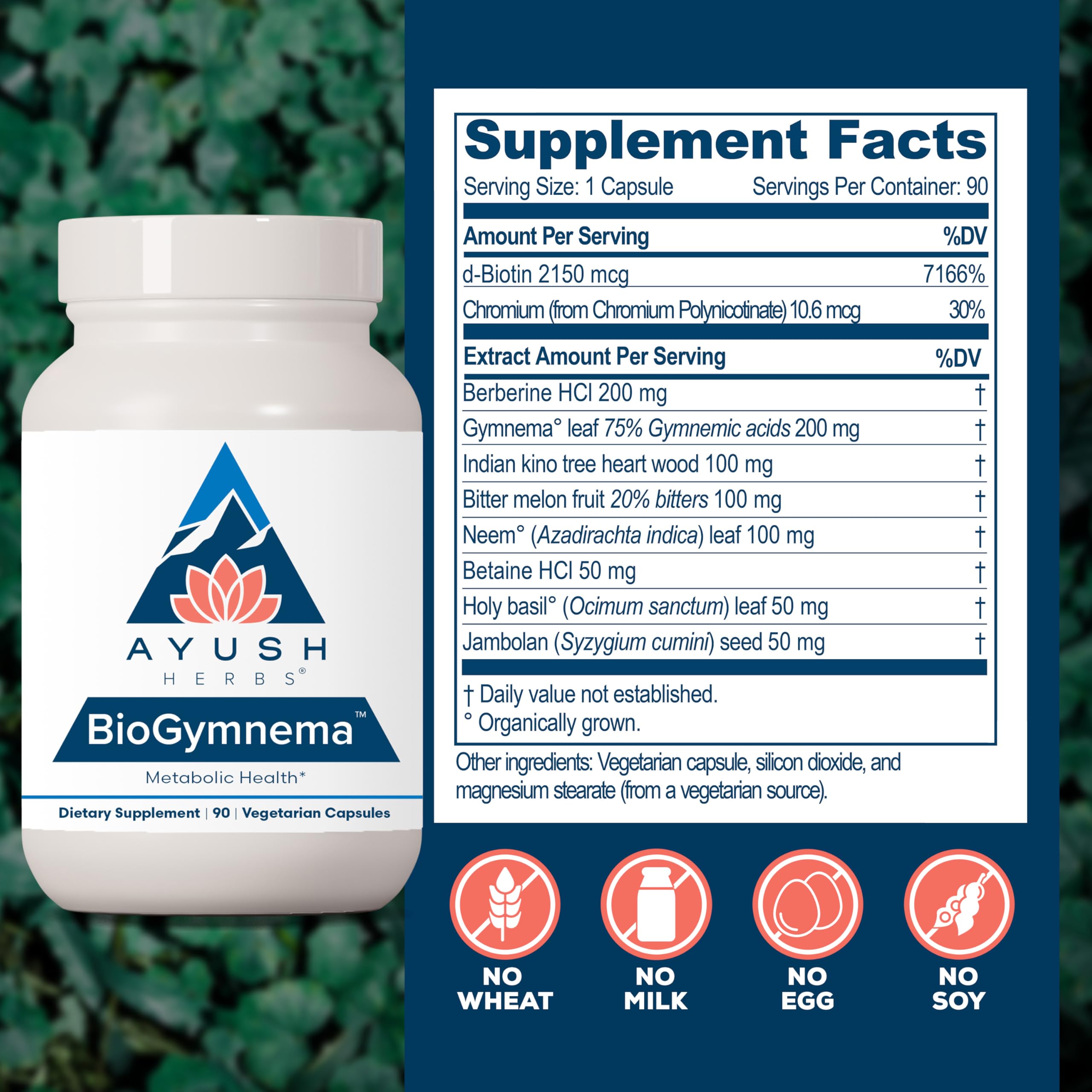Ayush Herbs BioGymnema - Metabolic Vitamin & Herb Blend, Metabolic Health Supplement for Women & Men with Biotin, Berberine, Bitter Melon & Gymnema, Nutrient Support - 90 Servings Ayush HerbsAu supplements