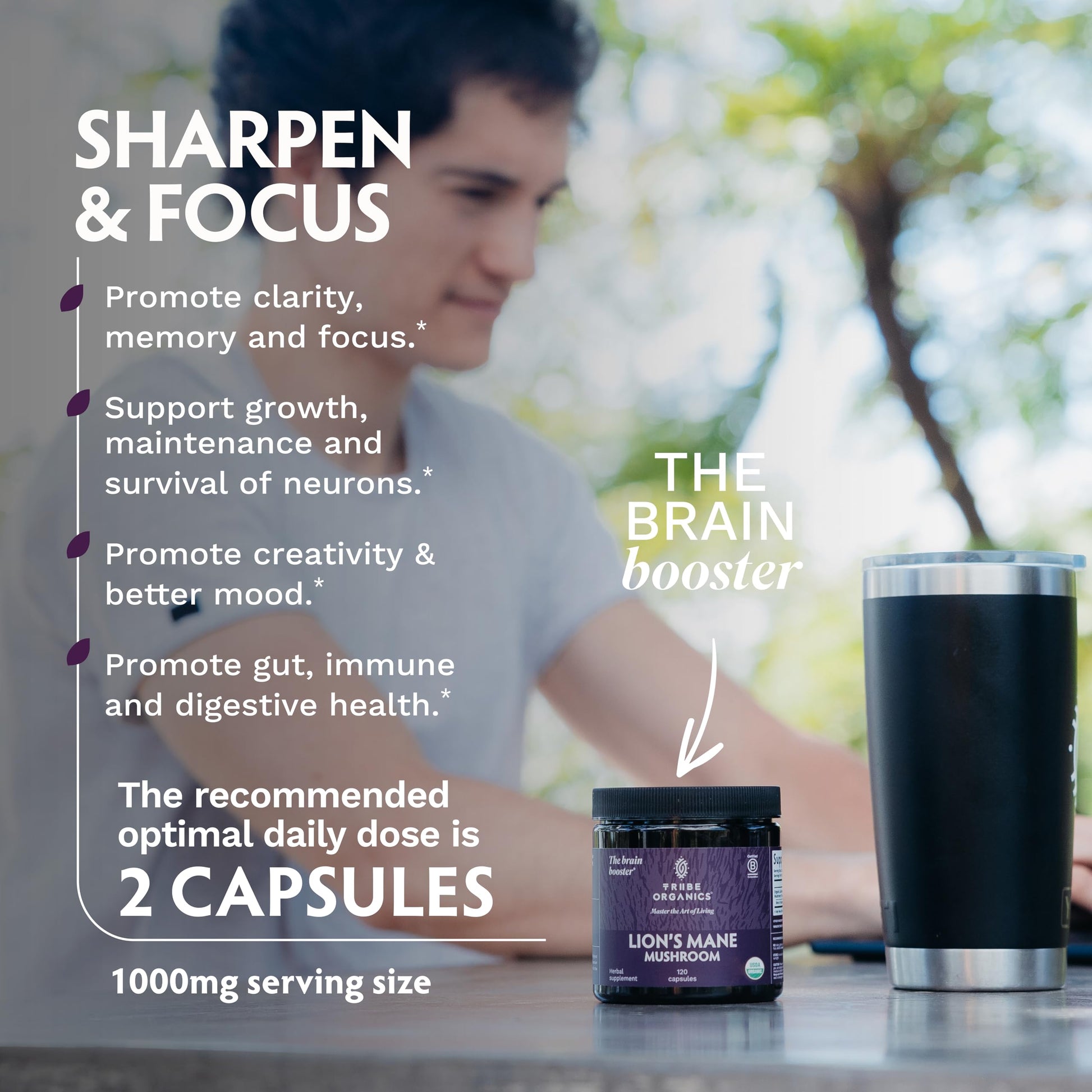 TRIBE ORGANICS Lion’s Mane Supplement 1000mg Mushroom Extract Powder - Immune System Booster & Brain Nootropic for Focus and Memory | Mental Clarity | Natural Energy and Immunity - 120 Vegan Capsules TRIBE ORGANICSAu supplements