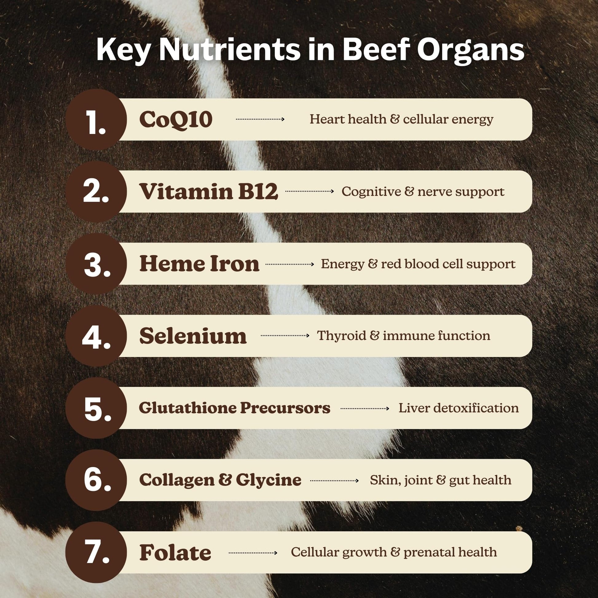 MK Supplements Grass-Fed Beef Organs Capsules | 5 Organs in Nature-Identical Ratios | B12, Copper & Heme Iron | Regeneratively Raised | 150 Capsules MK SupplementsAu supplements