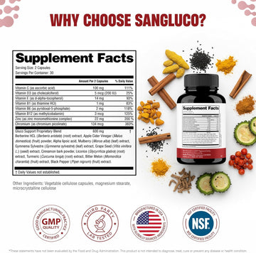 Blood Sugar Support Complex Supplement | Supports Healthy Blood Sugar Levels Already Within Normal Range | With Berberine, Cinnamon, Chromium, Turmeric