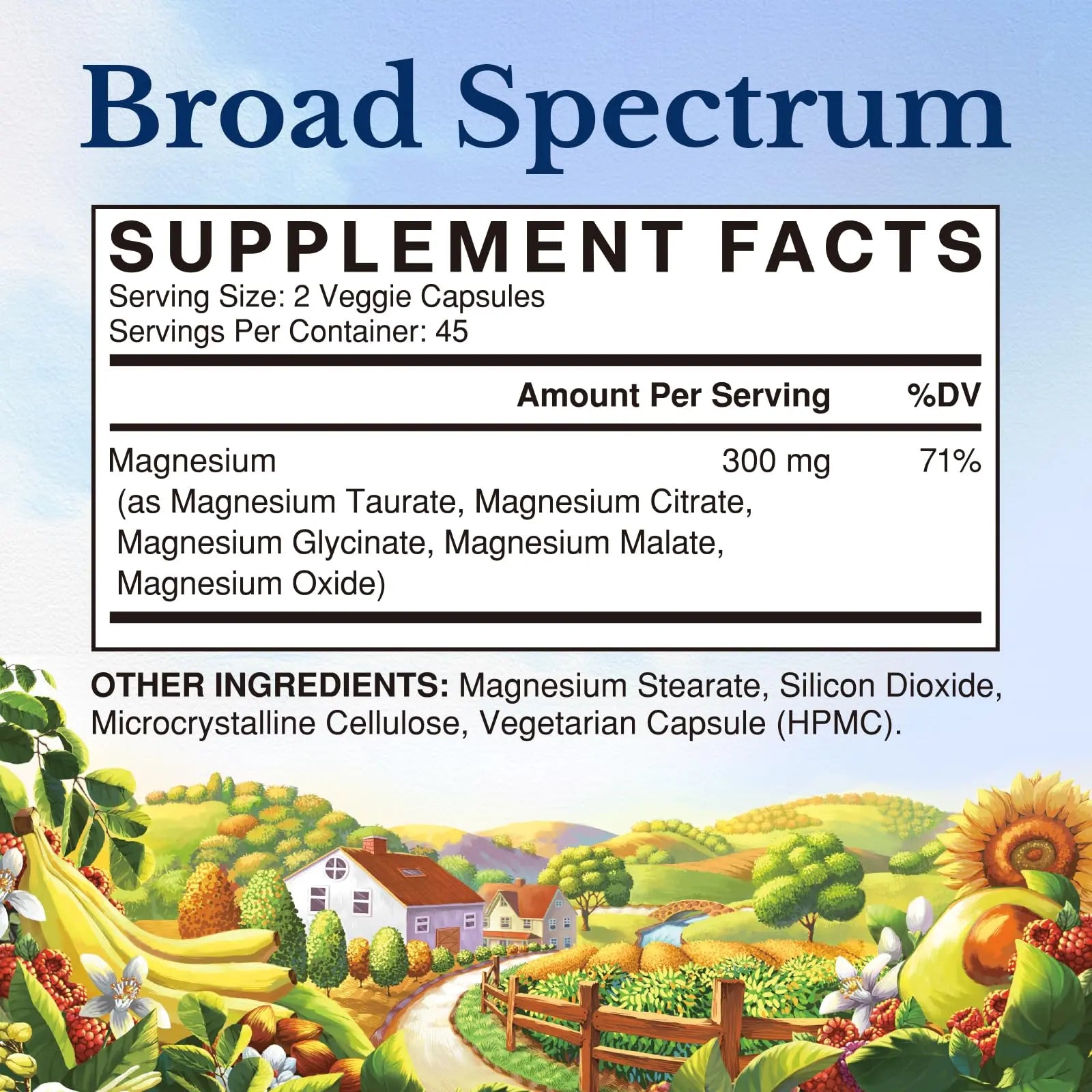 Vitalitown Magnesium Complex Supplement | 300mg Elemental Mag | Magnesium Citrate Glycinate Taurate Malate | Non-GMO, No Gluten, 90 Vegan Magnesio Capsules for Bone Brain Heart Vitalitownnz supplements