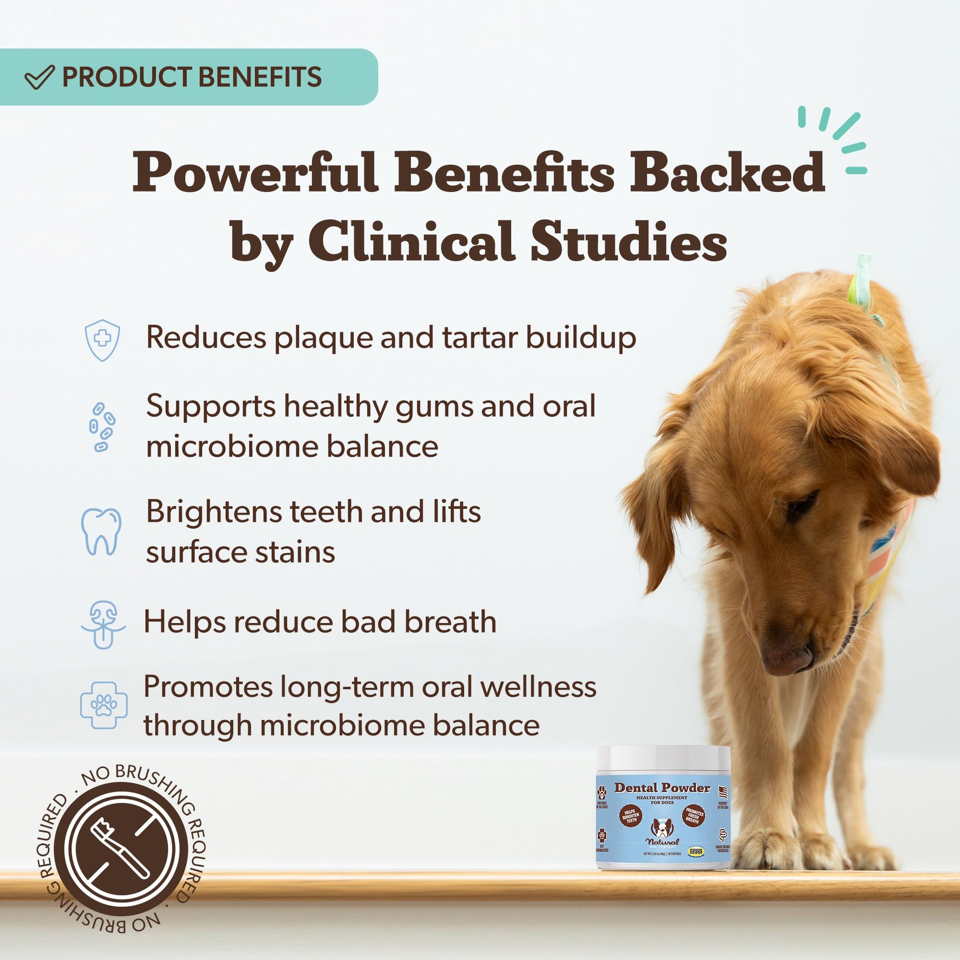 Natural Dog Company Dental Powder for Dogs – Freshens Breath & Helps Reduce Plaque & Tartar, Natural No-Brushing Canine Oral Health Postbiotic Supplement, Vet Formulated, Made in USA, 30-Day Supply Natural Dog CompanyAu supplements
