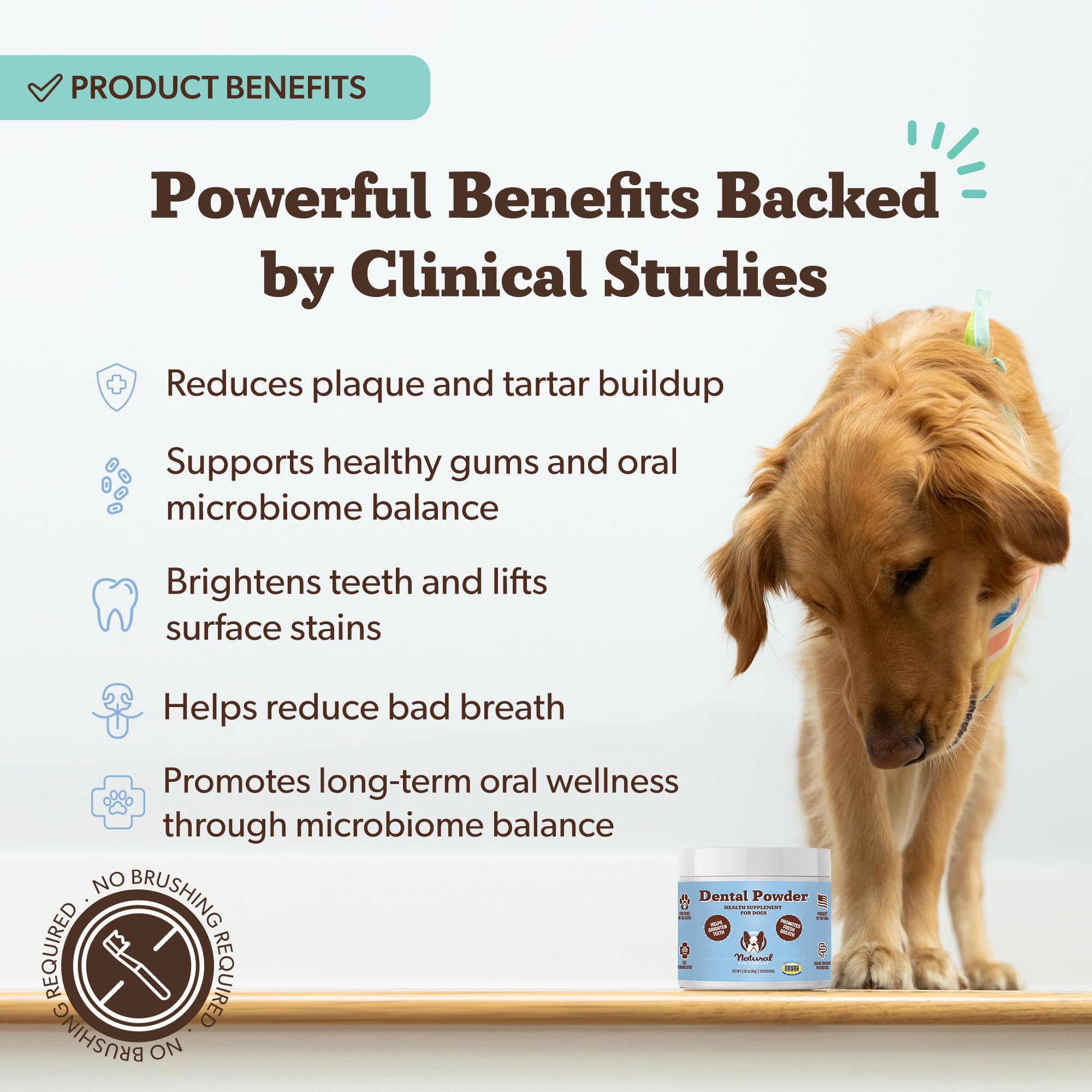 Natural Dog Company Dental Powder for Dogs – Freshens Breath & Helps Reduce Plaque & Tartar, Natural No-Brushing Canine Oral Health Postbiotic Supplement, Vet Formulated, Made in USA, 30-Day Supply Natural Dog CompanyAu supplements