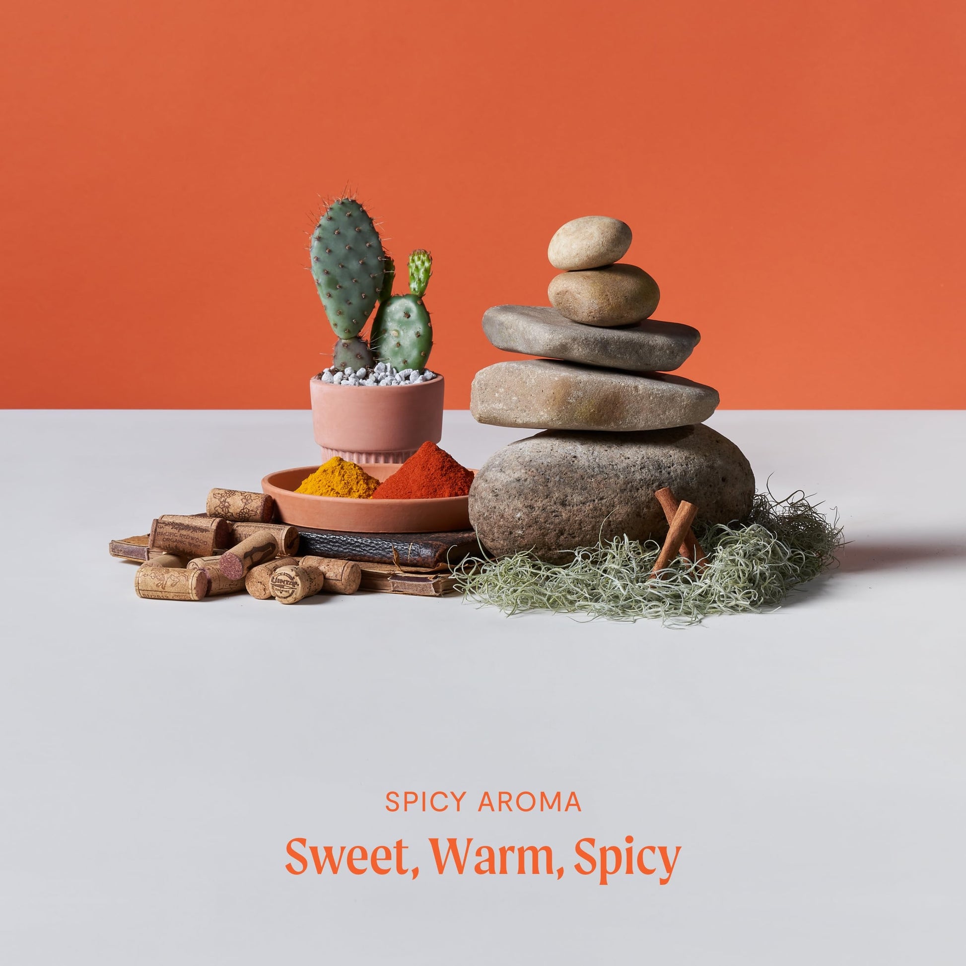 Hohm Pumpkin Spice Essential Oil Blend - Natural, Pure Essential Oil for Your Home Diffuser HohmAu supplements