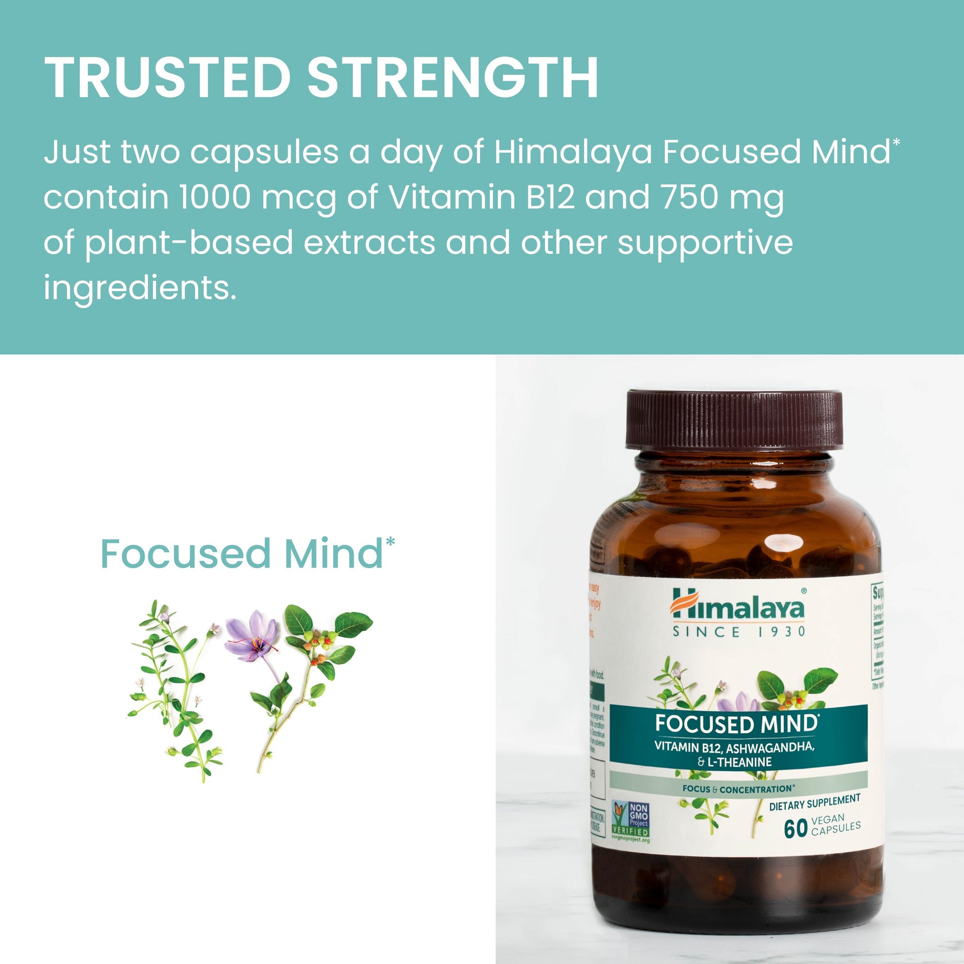 Himalaya Focused Mind Supplement, with Ashwagandha, Bacopa & L-Theanine for Attention, Focus and Energy Support, 60 Vegan Capsules, Gluten Free, 1 Month Supply HimalayaAu supplements