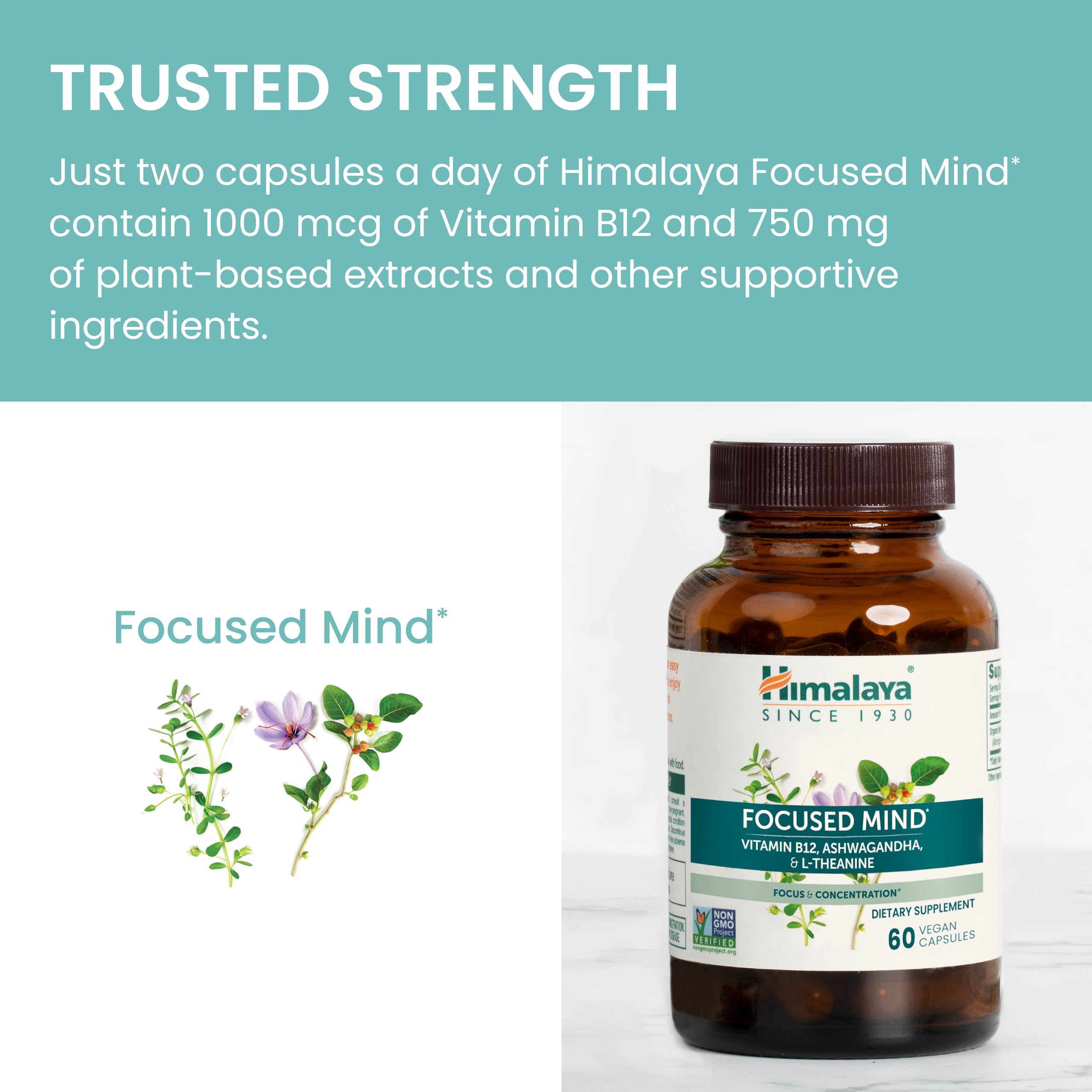 Himalaya Focused Mind Supplement, with Ashwagandha, Bacopa & L-Theanine for Attention, Focus and Energy Support, 60 Vegan Capsules, Gluten Free, 1 Month Supply HimalayaAu supplements