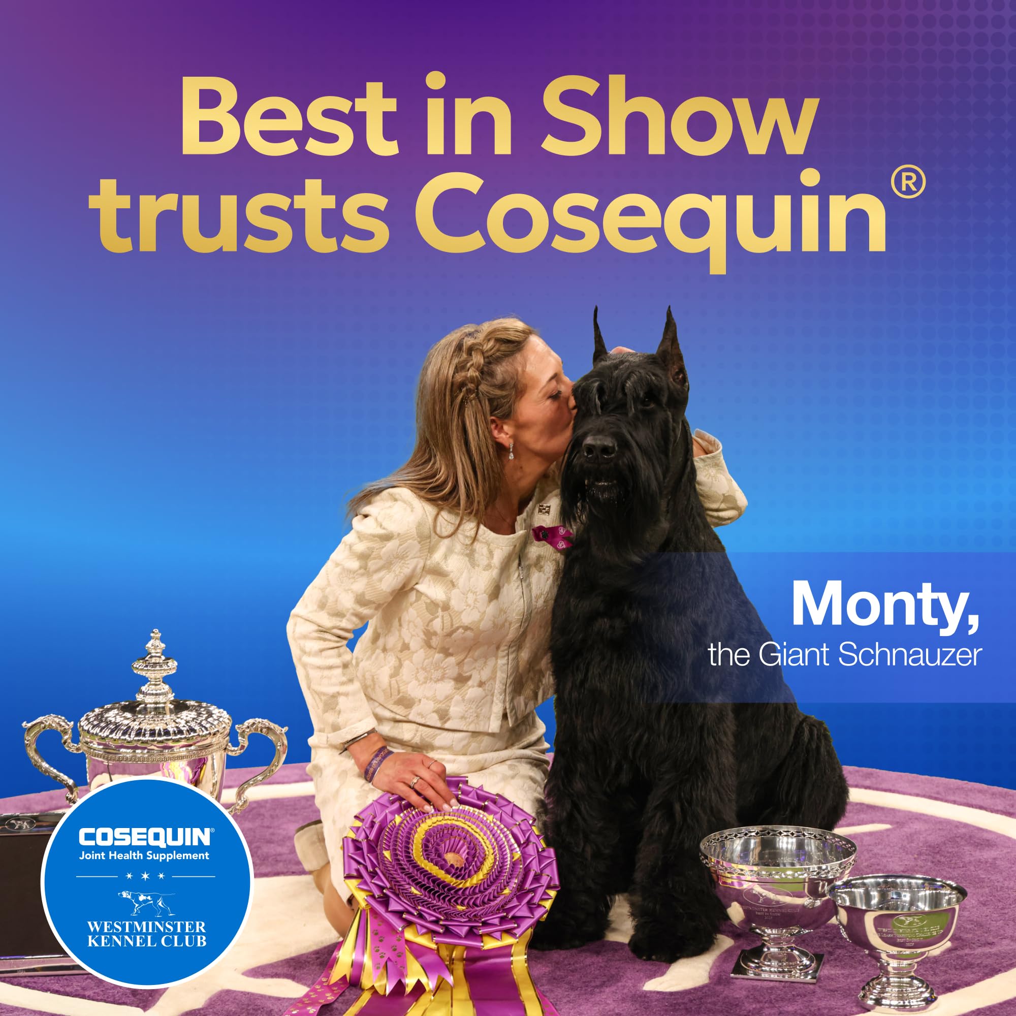 Nutramax Laboratories Cosequin Maximum Strength Joint Health Supplement for Dogs - With Glucosamine, Chondroitin, and MSM, 2 Pack, 264 Total Chewable Tablets Nutramax LaboratoriesAu supplements
