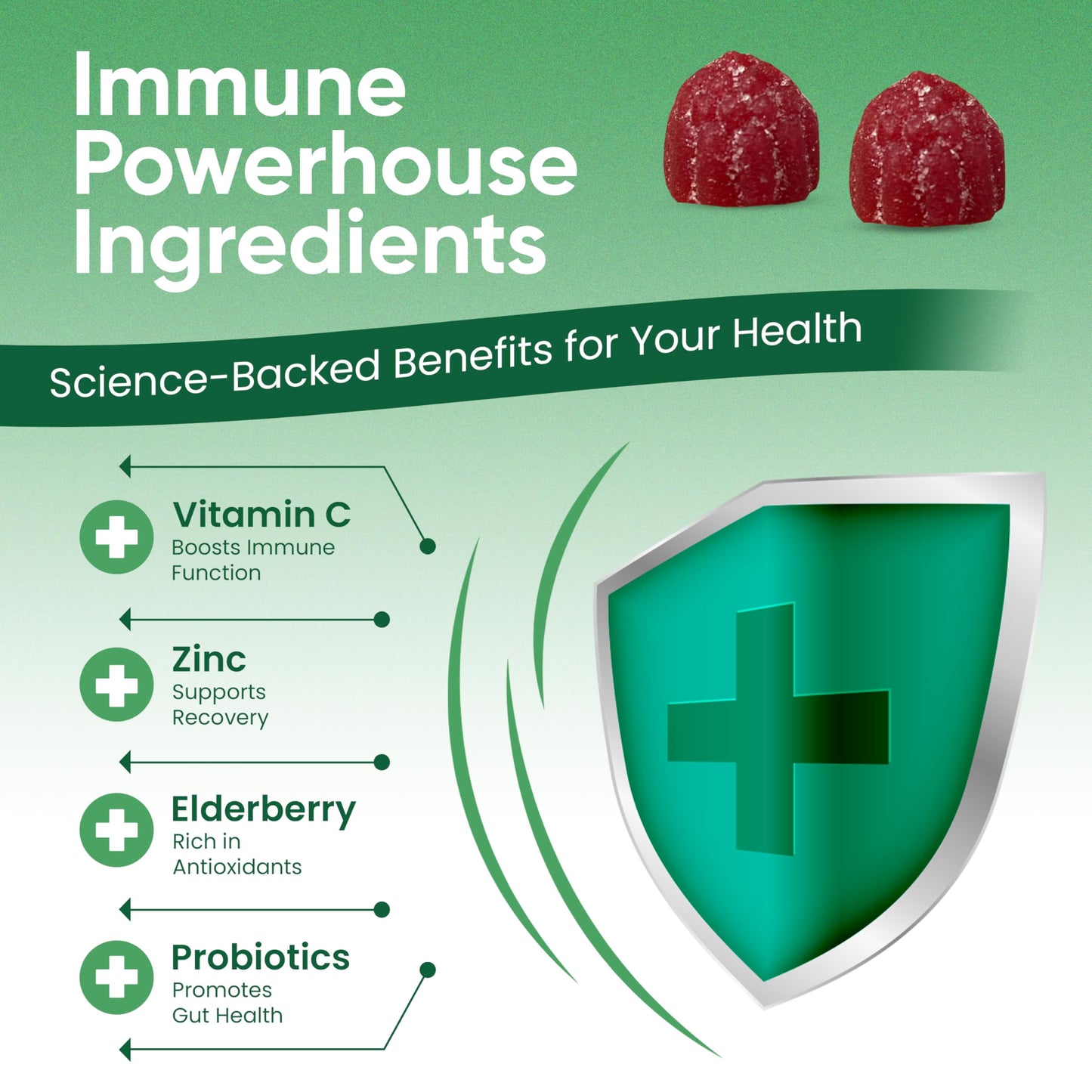 Haydar Marketplace Immune Boosters for Adults - Vegan Immune Support Gummies with Vitamins C & D, Zinc, Magnesium, Probiotics Haydar MarketplaceUS supplements