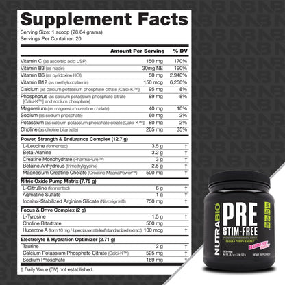 NutraBio PRE Stim Free - Caffeine Free Pre Workout Powder - Sustained Energy, Mental NutraBioUS supplements
