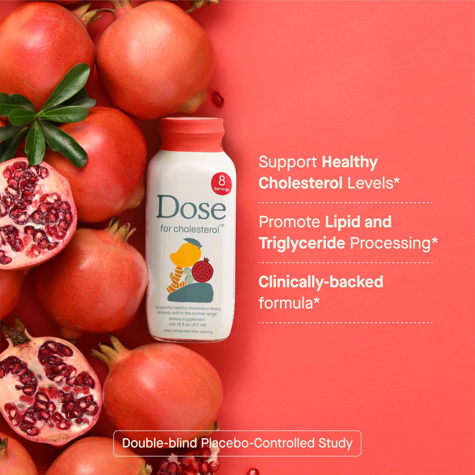 DOSE for Cholesterol Supplements Maintain Healthy Cholesterol Levels and Supports Cardiovascular Health Gluten-Free Vegan Zero Sugar, 16oz Bottle, 3 Pack (3 Week Supply) DOSEAu supplements