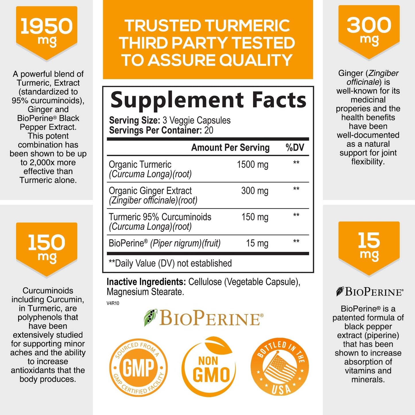 Turmeric Curcumin with BioPerine & Ginger 95% Standardized Curcuminoids Nature's NutritionUS supplements