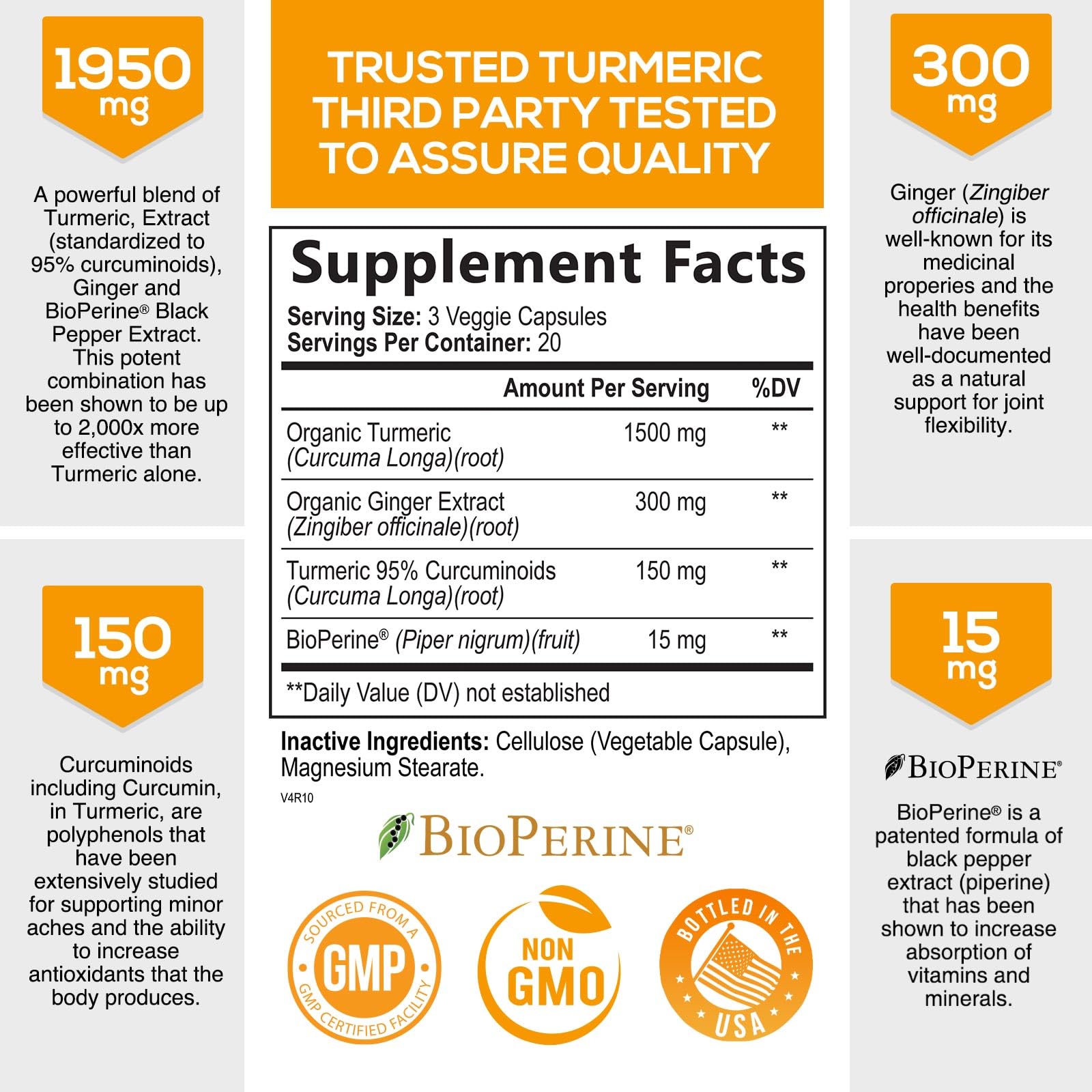 Turmeric Curcumin with BioPerine & Ginger 95% Standardized Curcuminoids Nature's NutritionUS supplements