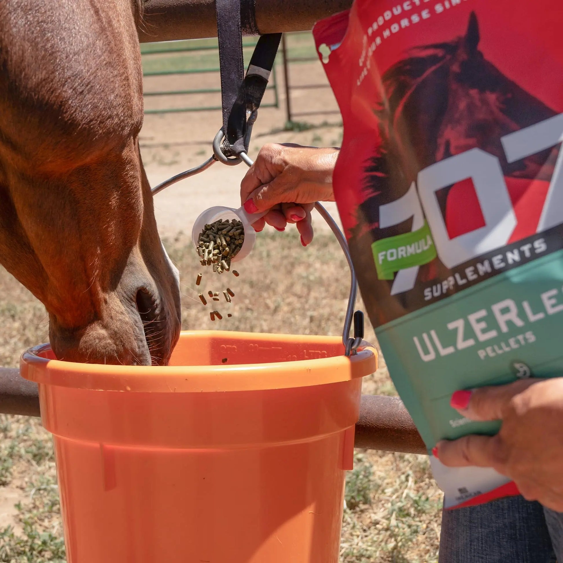 Formula 707 ULZERless Equine Supplement, 7.5lb Bag - Natural Gut Support for Horses with Ulcer Risk Factors Formula 707nz supplements