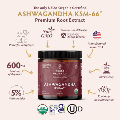 TRIBE ORGANICS Ashwagandha KSM 66 Pure Organic Root Powder Extract Ayurvedic Supplement - Focus, Mood Support, Increase Energy, Strength, 600mg of Natural KSM66 TRIBE ORGANICSUS supplements