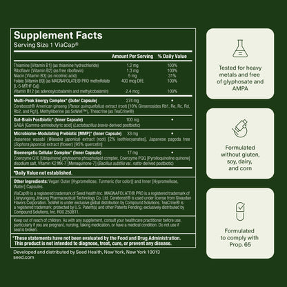 Seed AM-02 Energy + Focus - Daily Nootropic Supplement for Women & Men - Fast-Acting & Sustained Energy for Up to 6 Hours - Caffeine-Free Vegan & Shelf-Stable - 30 Capsules (30-Day Supply) Visit the Seed StoreUS supplements
