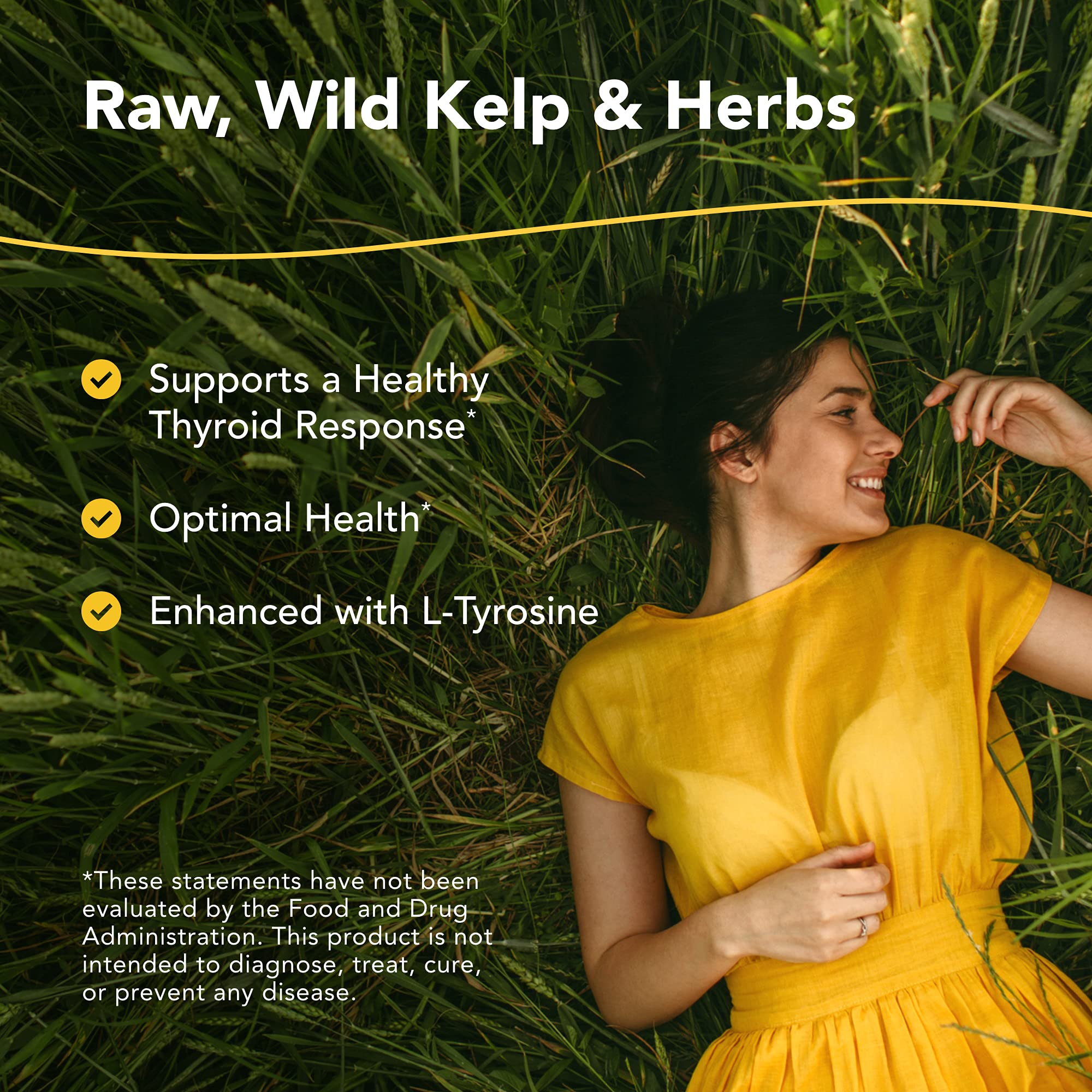 NORTH AMERICAN HERB & SPICE Thyroset - 90 Capsules - Wild Kelp & Herbs Blend - Healthy Thyroid Support - Contains Trace Minerals, Natural Iodine, Antioxidants & Amino Acids - 45 Servings NORTH AMERICAN HERB & SPICEAu supplements