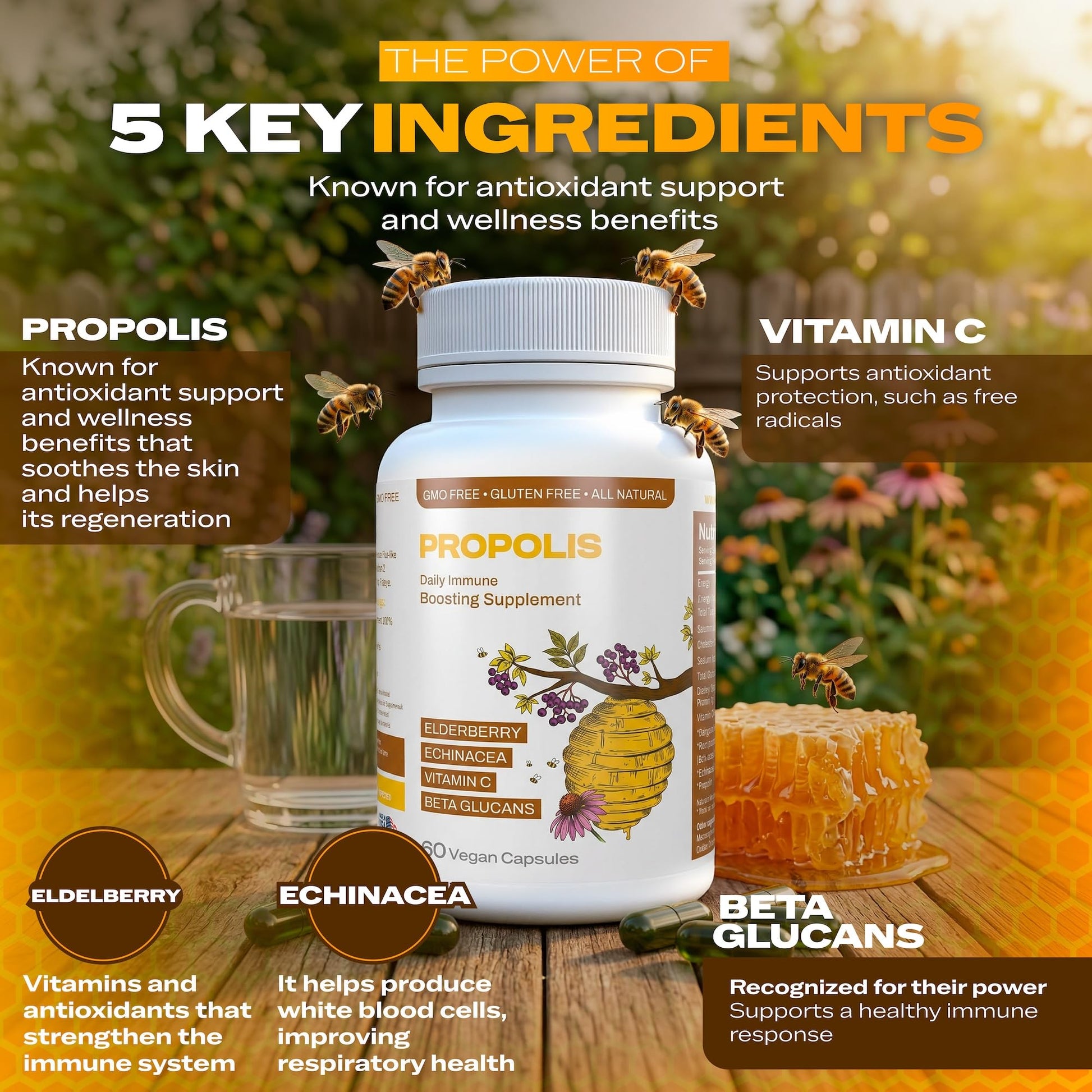 Only Nutri Labs Bee Propolis Dietary Supplement, with Elderberry, Echinacea, Vitamin C and Beta Glucans - Daily Wellness Capsules for Adults (60 Count) Only Nutri LabsAu supplements