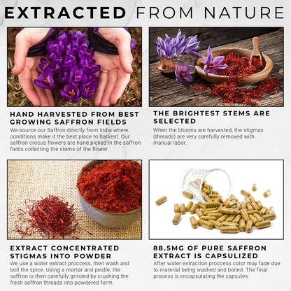 ACEWORKZ 100% Pure Saffron Extract - Appetite Suppressant for Weight Loss - Metabolis ACEWORKZUS supplements
