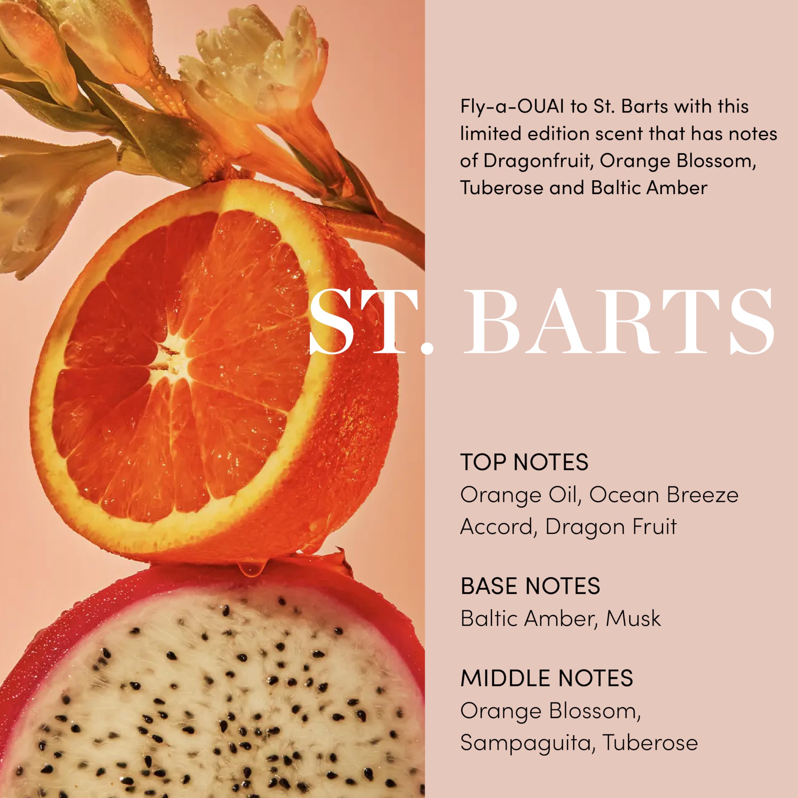 OUAI Body Cream, St. Barts - Hydrating Whipped Body Cream with Cupuaçu Butter, Coconut Oil and Squalane - Softens Skin and Delivers Healthy-Looking Glow - Sulfate-Free Skin Care (7.5 Oz) OUAIAu supplements