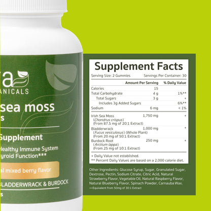 Jiva Botanicals - Irish Sea Moss Gummies with Bladderwrack & Burdock Root 3000mg Jiva BotanicalsUS supplements