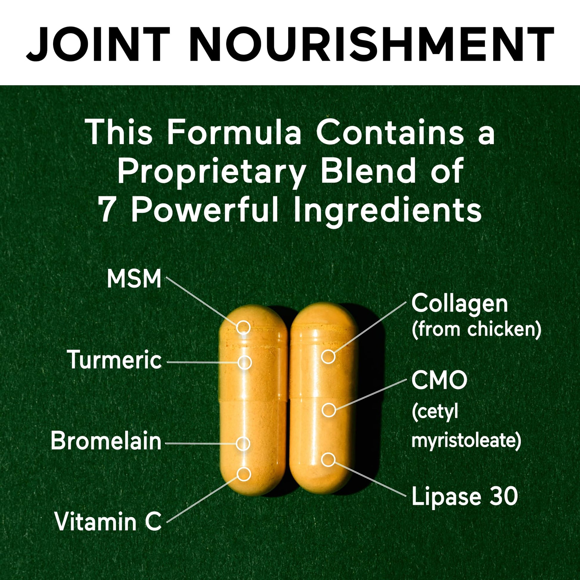 SMARTERNUTRITION Joint Food - Whole-Food Joint Supplement to Support Lubrication & Mobility - Formulated with Collagen Type II, MSM, Vitamin C, Turmeric, Bromelain - 6 Pack[180-Day Supply] SMARTERNUTRITIONAu supplements