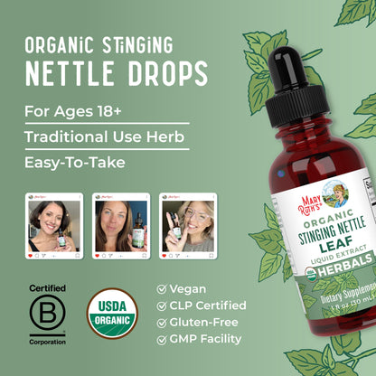 MaryRuth Organics Stinging Nettle Leaf Extract | Detox Supplement Herbal Drops | USDA Organic | Vegan | Non-GMO | Gluten Free | 1 Fluid Oz MARYRUTH'SUS supplements