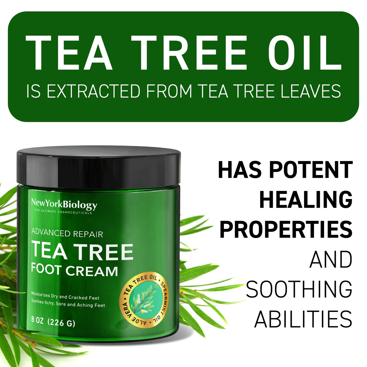 New York Biology Tea Tree Oil Foot Cream for Dry Cracked Feet, Athletes Foot, Nail Fungus NEW YORK BIOLOGY THE ULTIMATE COSMECEUTICALSUS supplements