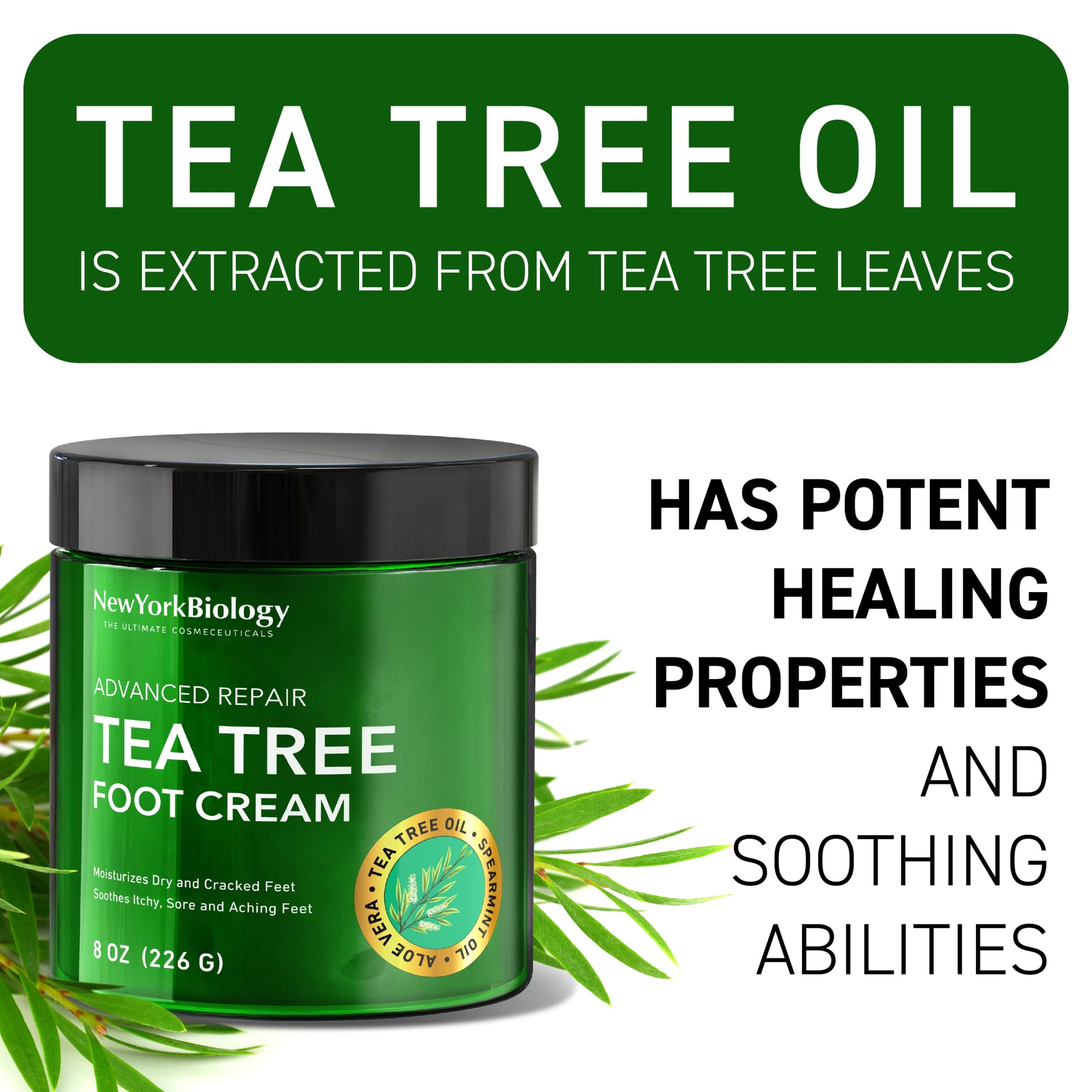 New York Biology Tea Tree Oil Foot Cream for Dry Cracked Feet, Athletes Foot, Nail Fungus NEW YORK BIOLOGY THE ULTIMATE COSMECEUTICALSUS supplements