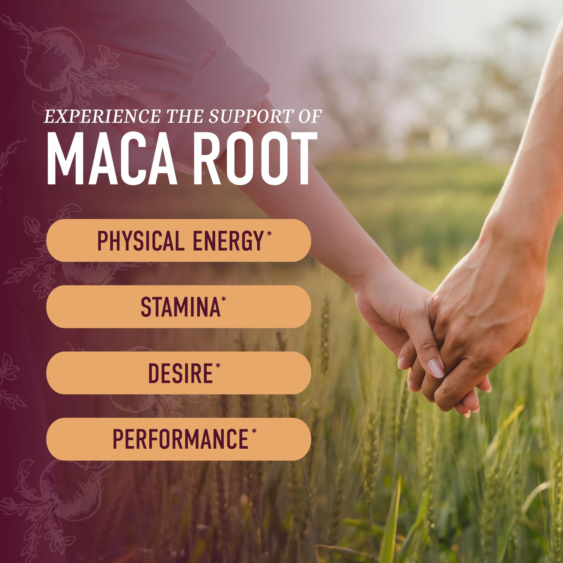 Maca Root Gummies with Natural Peach Flavor | Drive, Performance & Energy Support | Hormone Balance for Women and Men | Herbal Supplements 200MG Extra Strength | Vegetarian, Non-GMO | 60 Gummies SMNutritionAu supplements