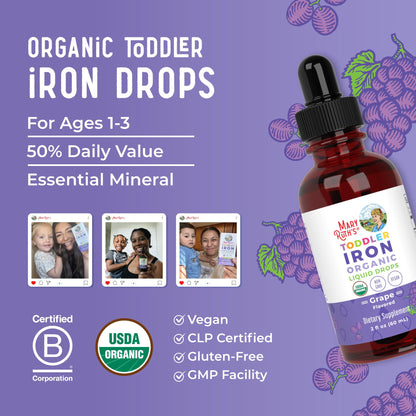 MaryRuth's Iron Supplement for Toddlers | Liquid Iron Supplement for Children Ages 1-3 | Iron Supplement for Iron Deficiency | Ferrochel | Sugar Free | Vegan | Non-GMO | Gluten Free | 2 Fl Oz MARYRUTH'SUS supplements