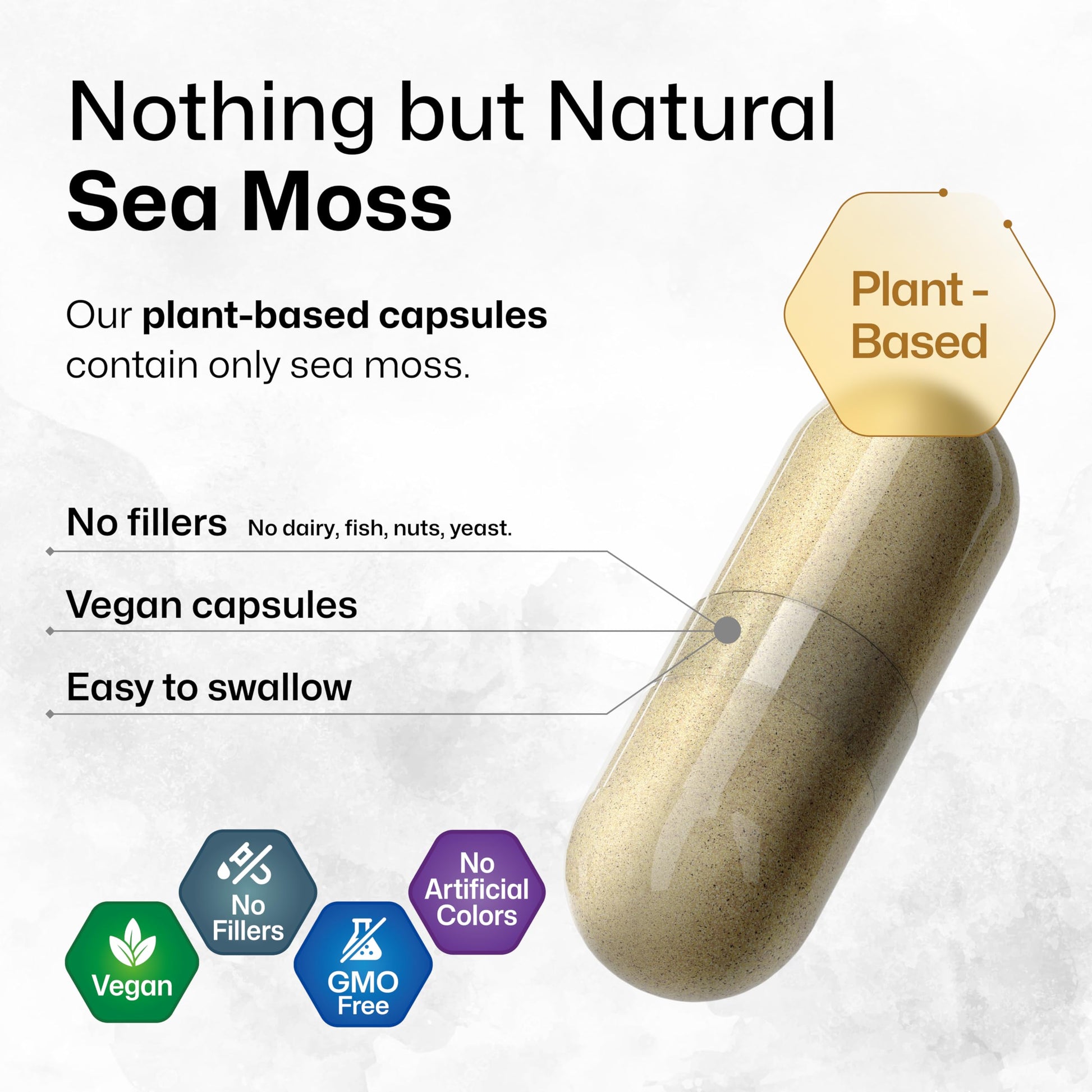 BIO KRAUTER® 2-in-1 Sea Moss for Thyroid Support - Vegan Bladderwrack & Sea Moss Capsules for Women & Men - Natural Сhondrus Сrispus Seaweed Supplement 1600 mg - 125 Days of Supply, Non-GMO BIO KRAUTERAu supplements