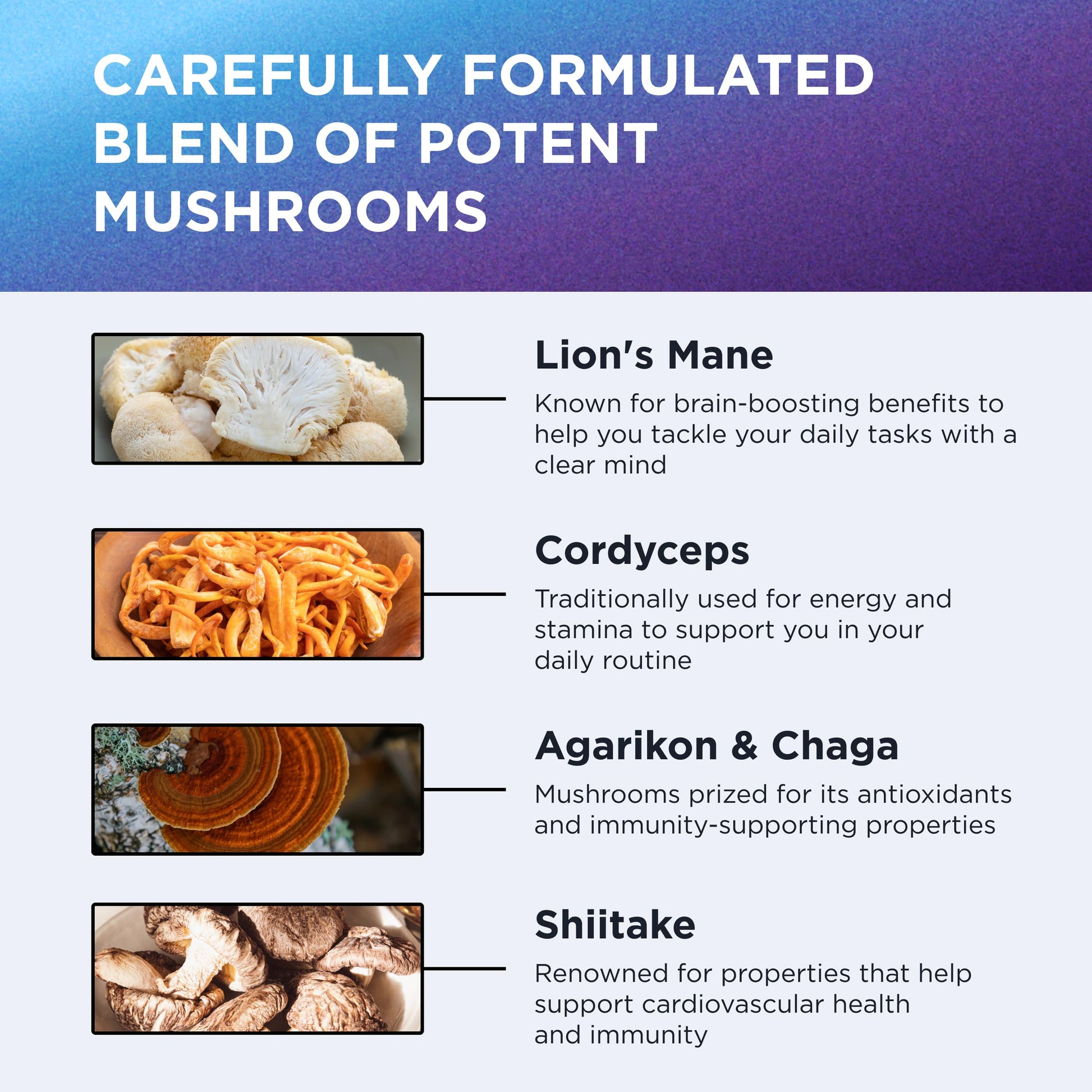 DR. EMIL NUTRITION 10 Mushroom Supplement for Mental Clarity, Focus & Immune Support - Functional Mushroom Nootropic Supplement with Lions Mane Extract, Cordyceps, Turkey Tail & More DR. EMIL NUTRITIONAu supplements