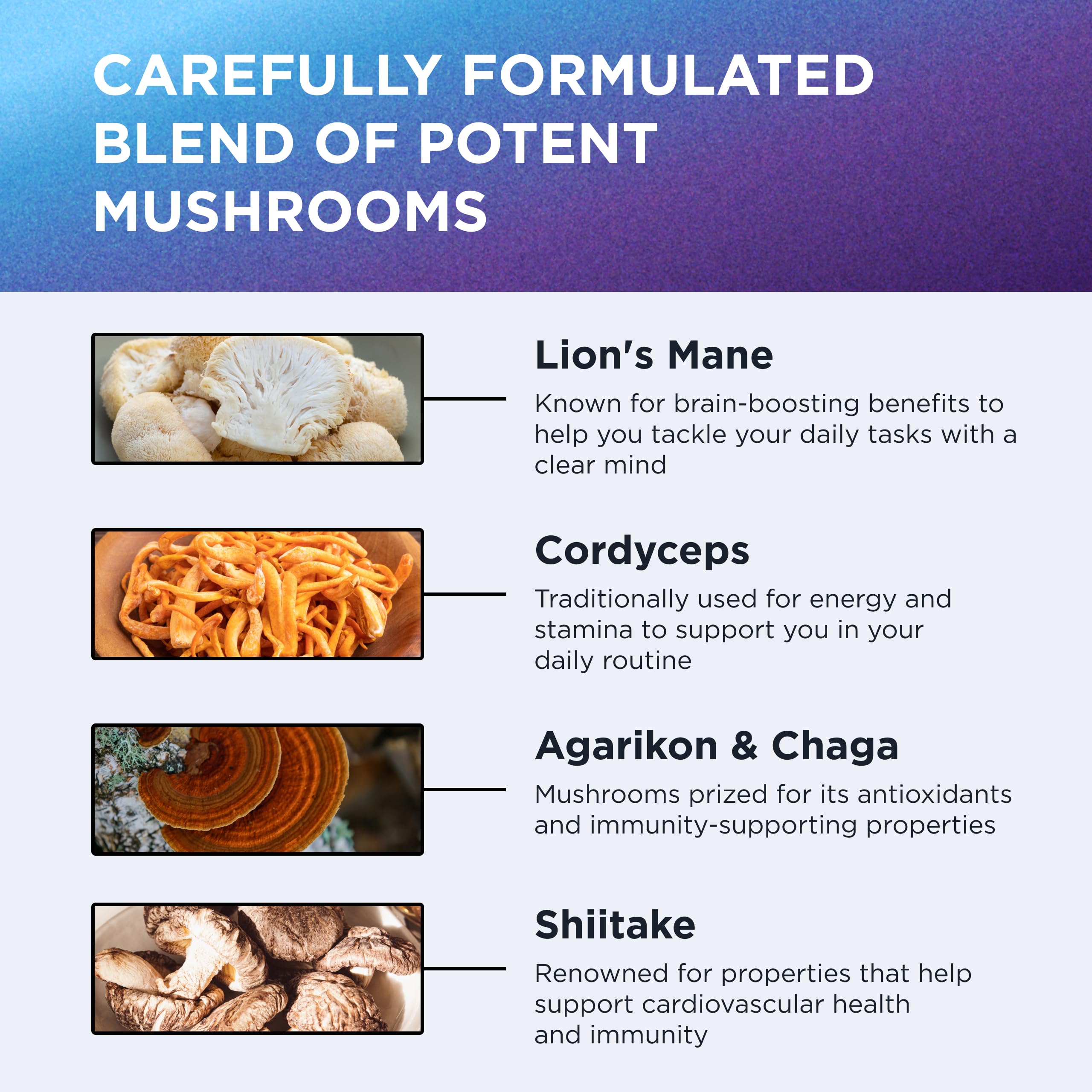 DR. EMIL NUTRITION 10 Mushroom Supplement for Mental Clarity, Focus & Immune Support - Functional Mushroom Nootropic Supplement with Lions Mane Extract, Cordyceps, Turkey Tail & More DR. EMIL NUTRITIONAu supplements